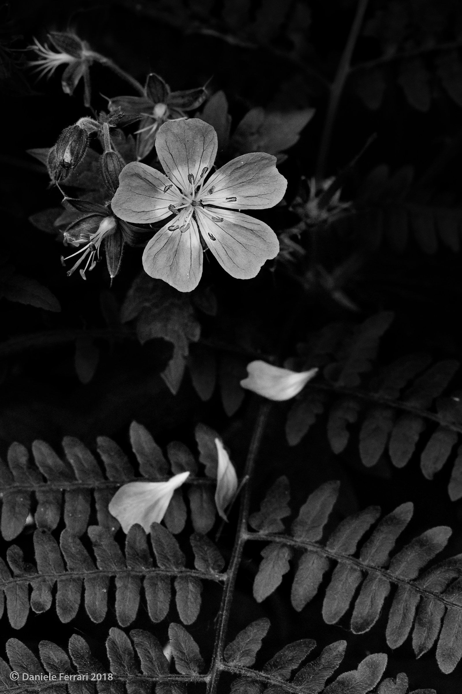 L'estate sta finendo