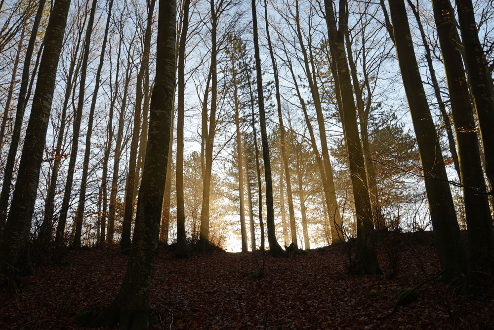 Aspettando il sole.....