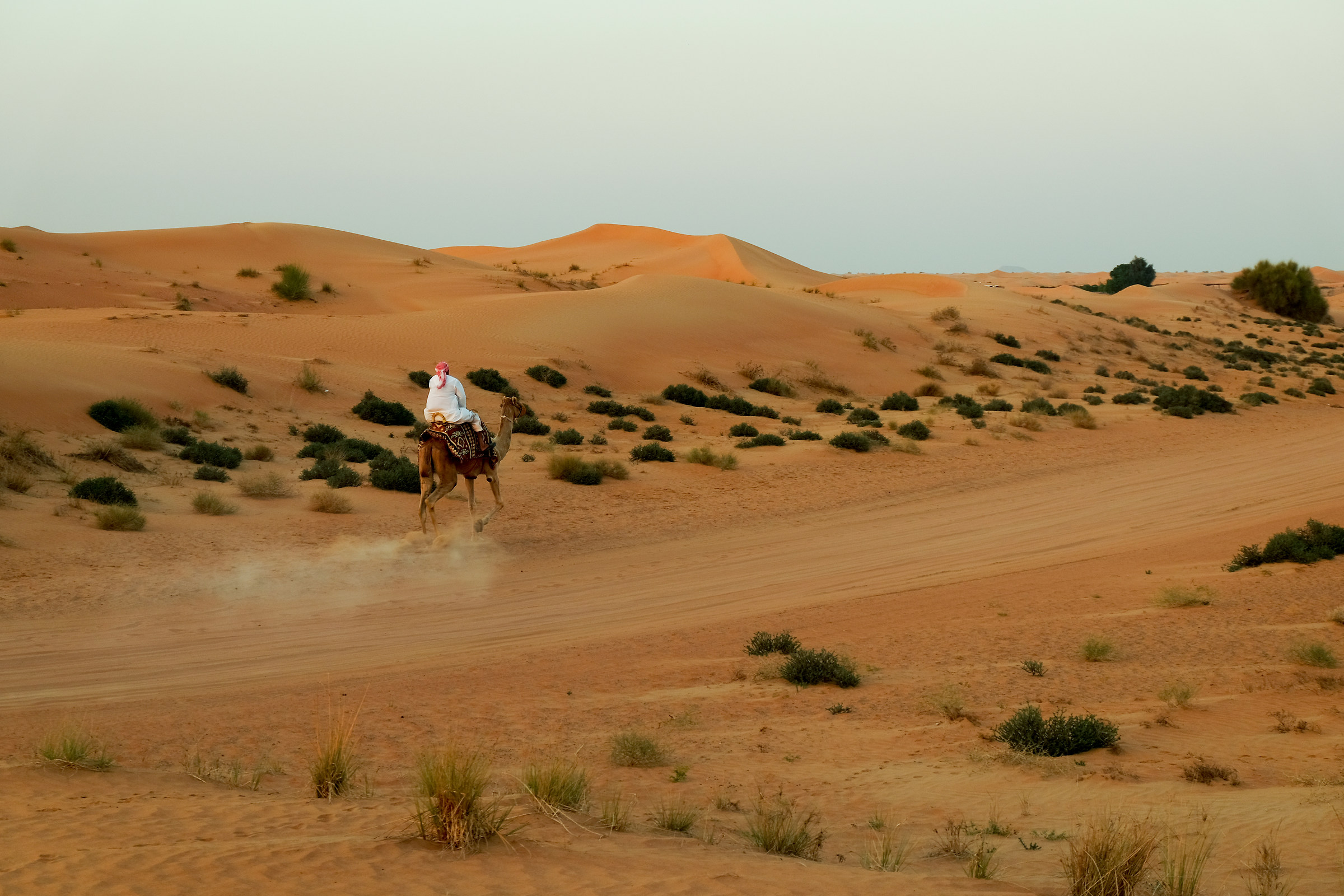 Bedouin-Dubai Desert