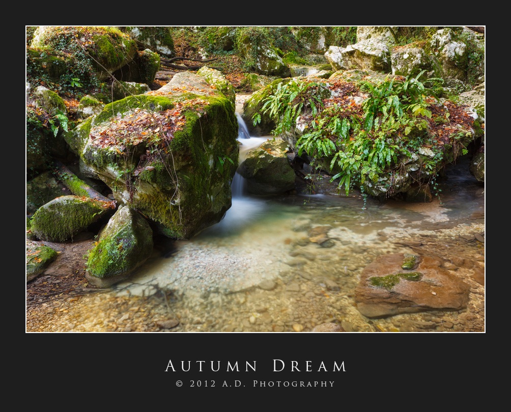 Autumn Dream