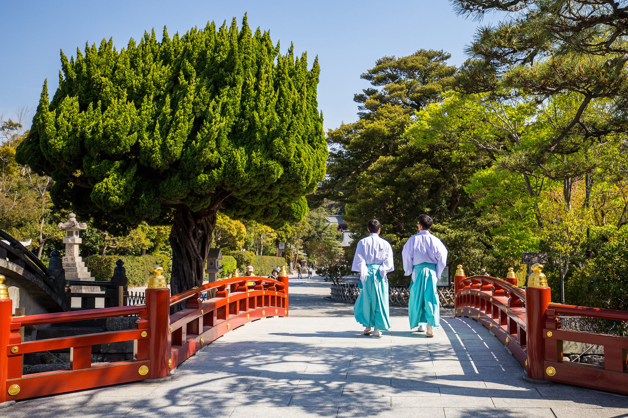 Tsurugaoka Hachiman-gu, Kamakura