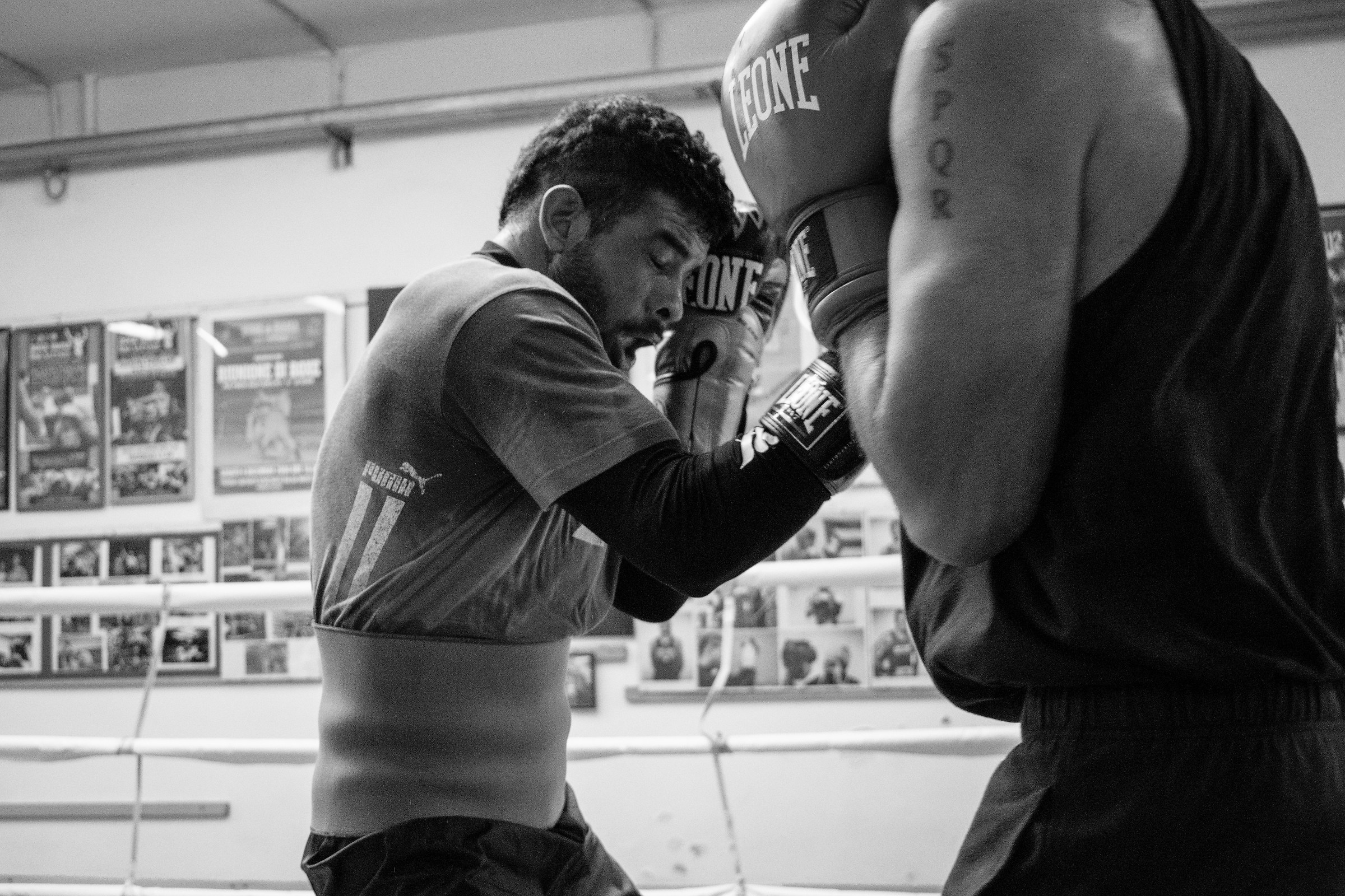 You've made me come out!