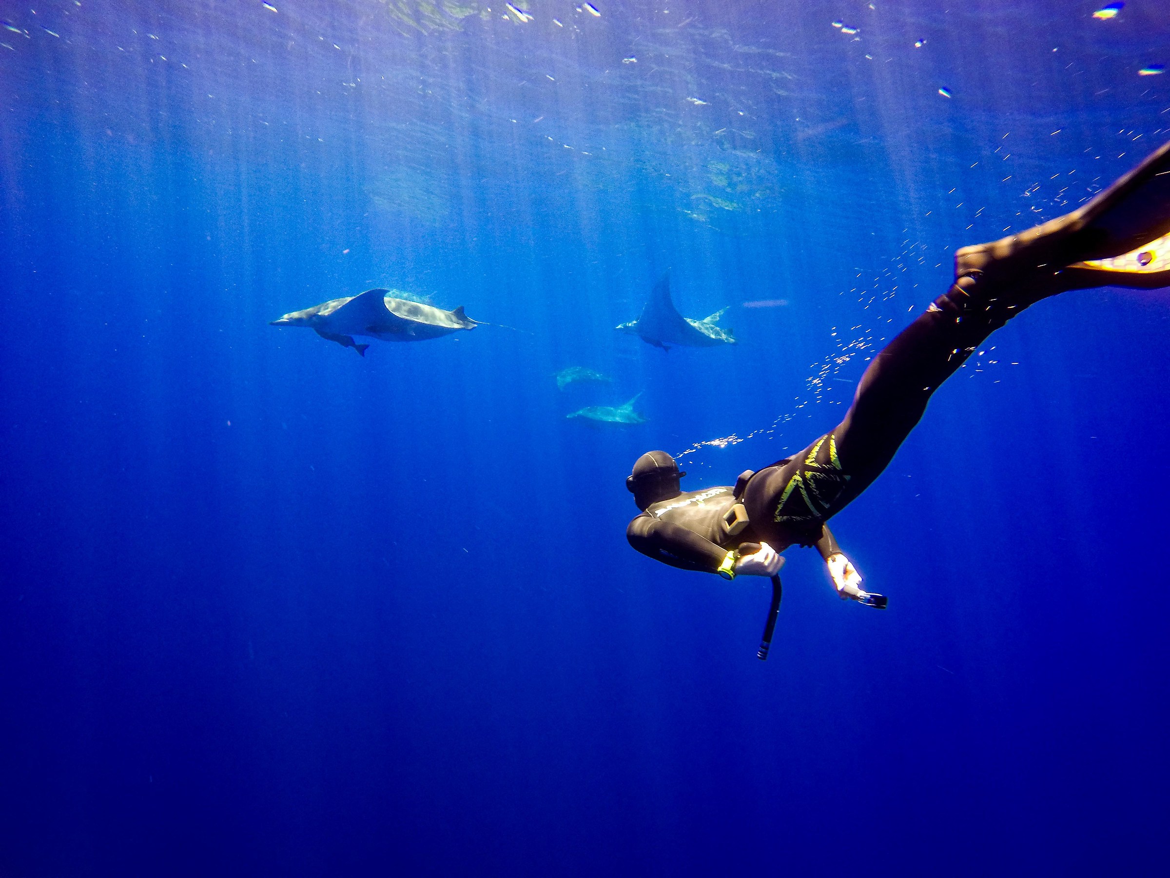 Lost in Princess Alice Bank