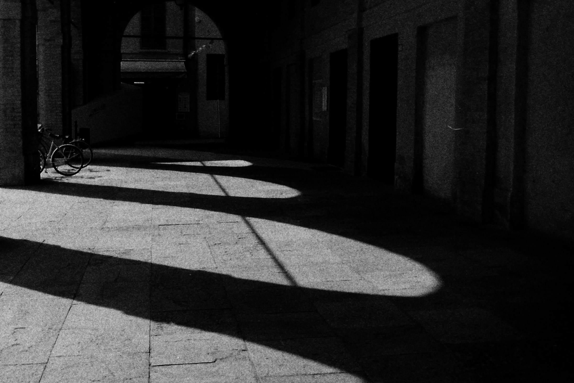 Shadows and Lights (film)