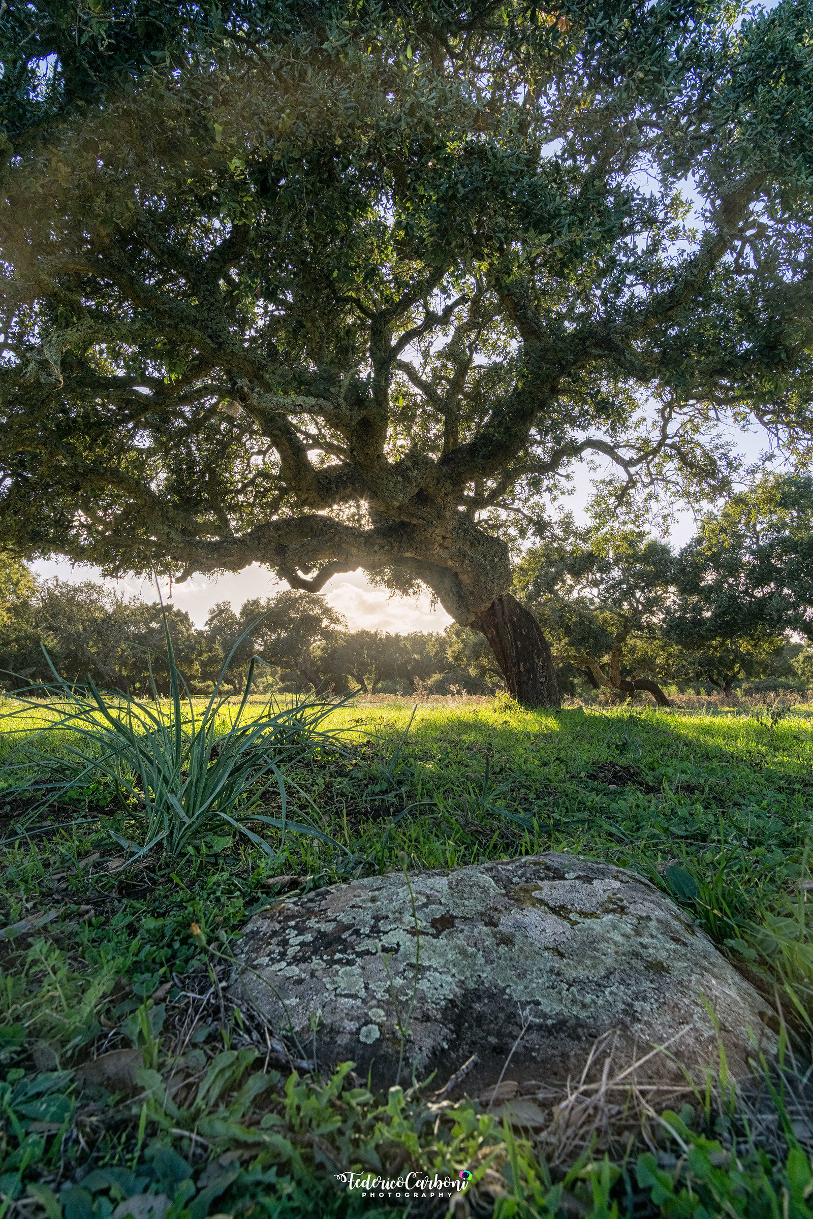 Walking around Sardinia