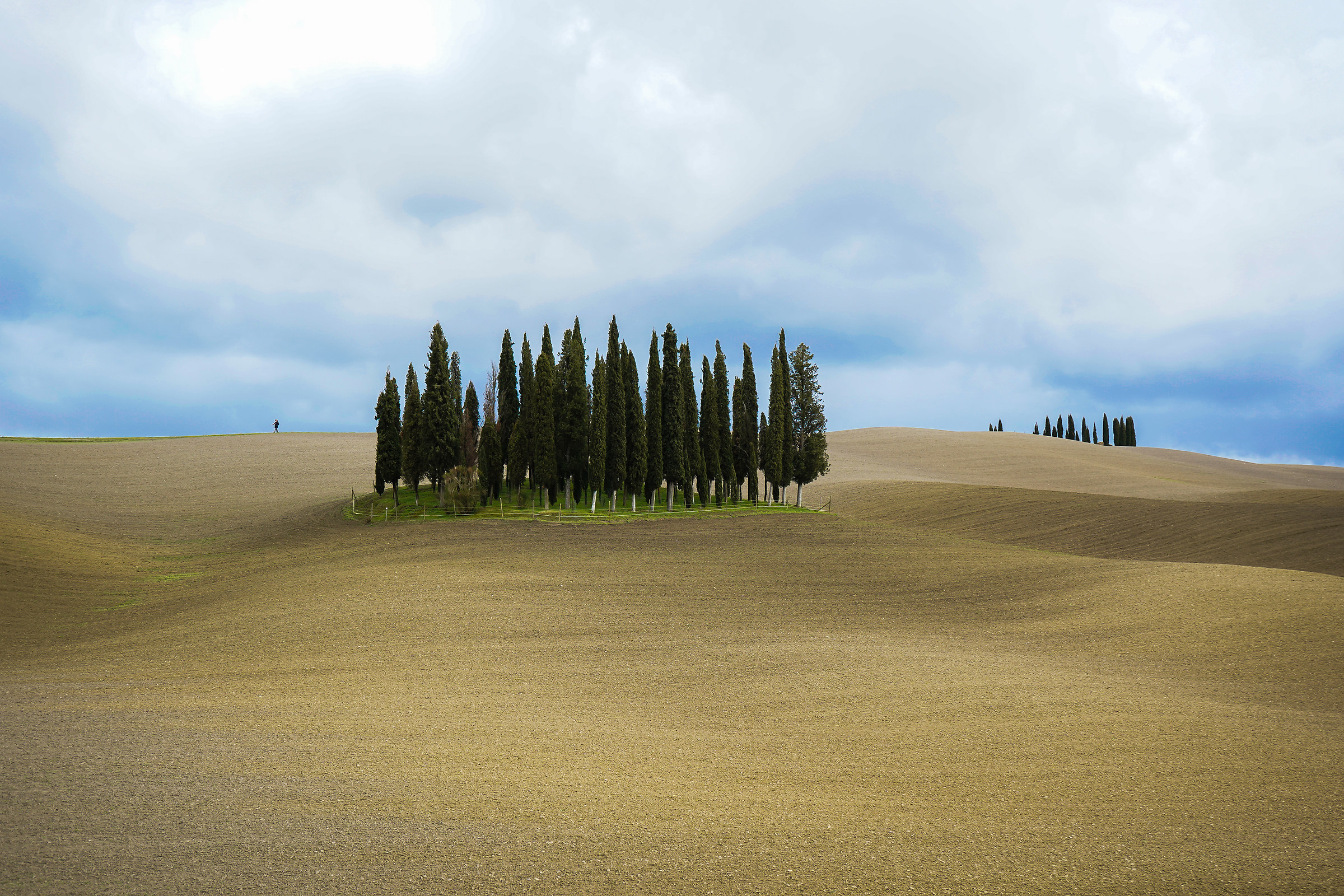 Cipressaia Val D'Orcia