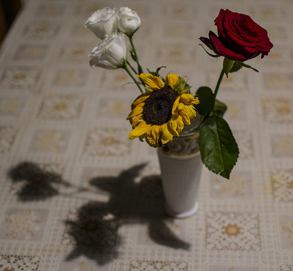 Foto
