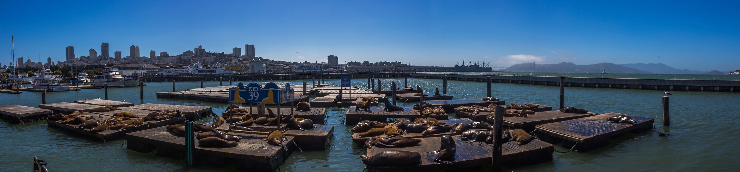 Guarnizioni a San Francisco