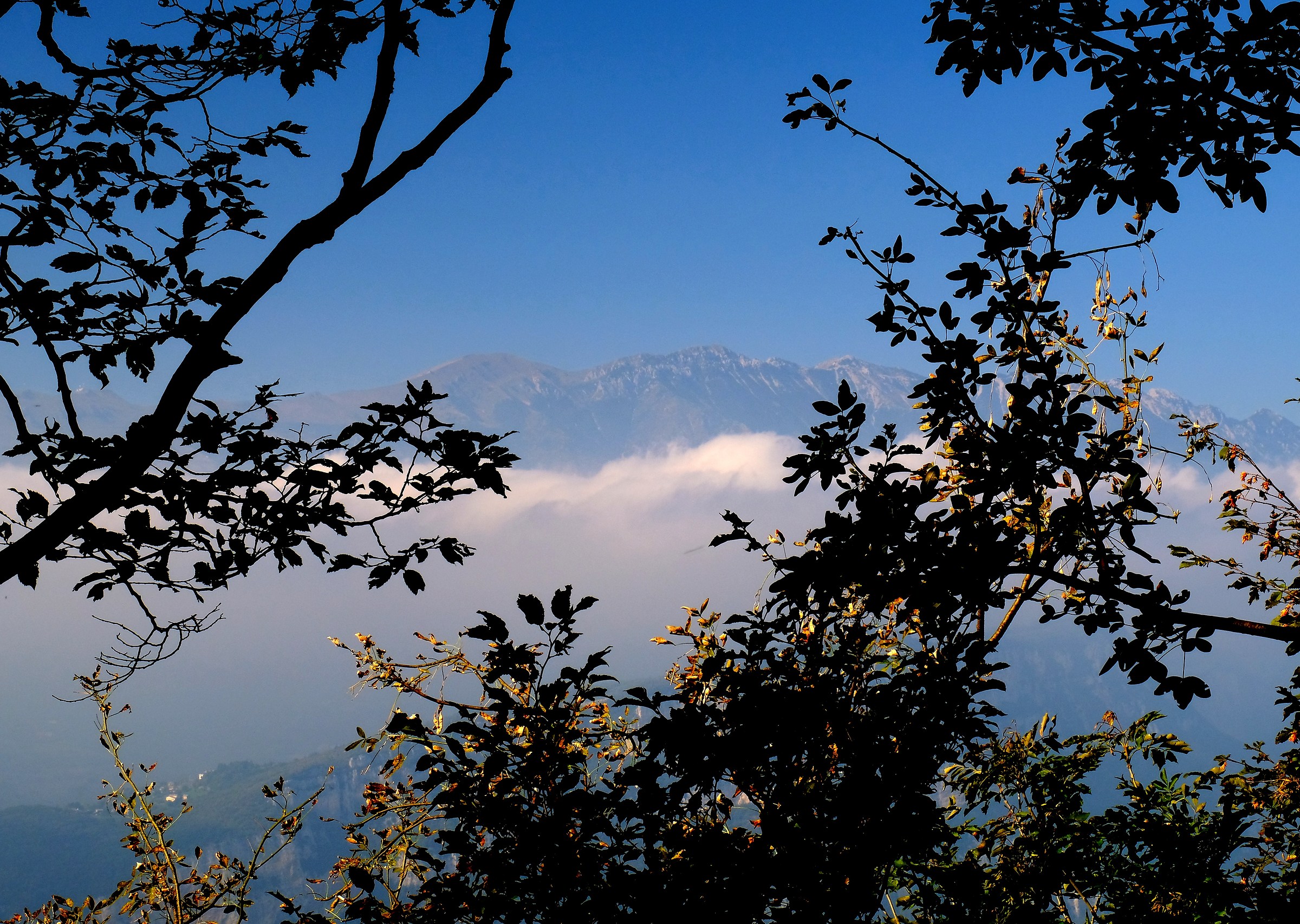 The crest of the Baldo