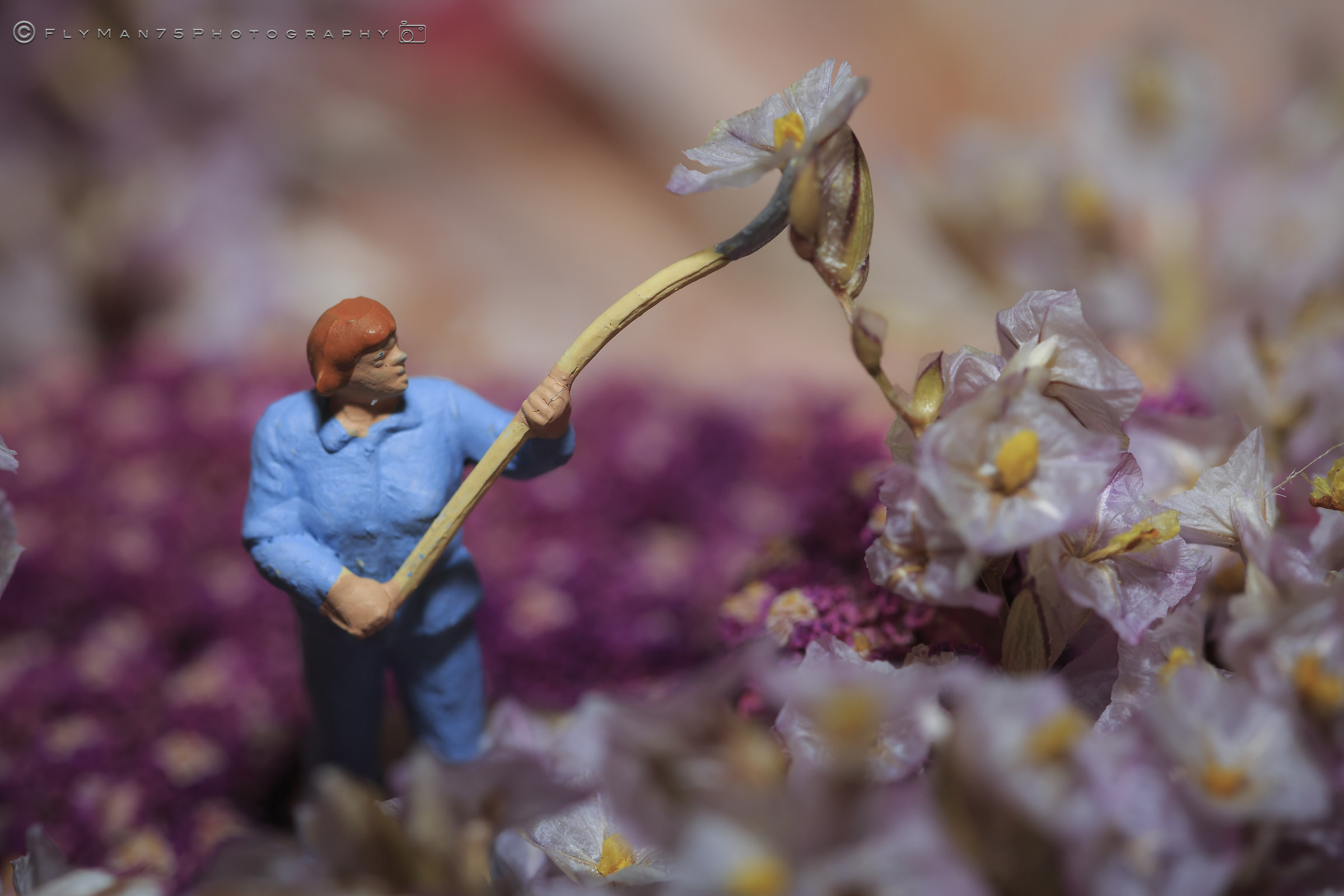 Macro Modeling contextualized Expressive