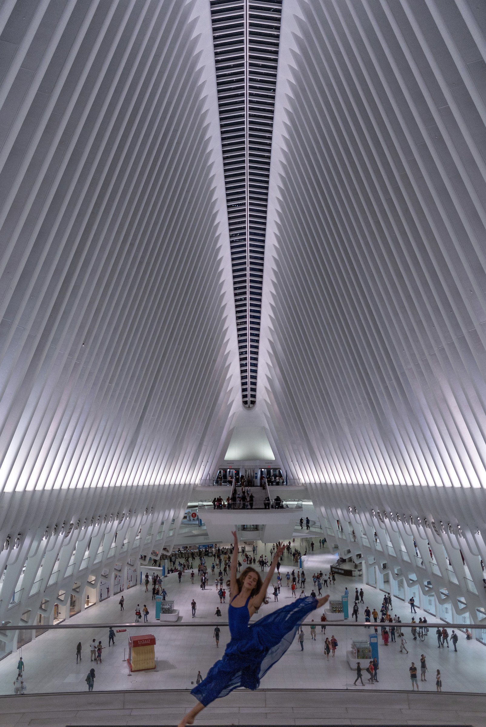 The oculus