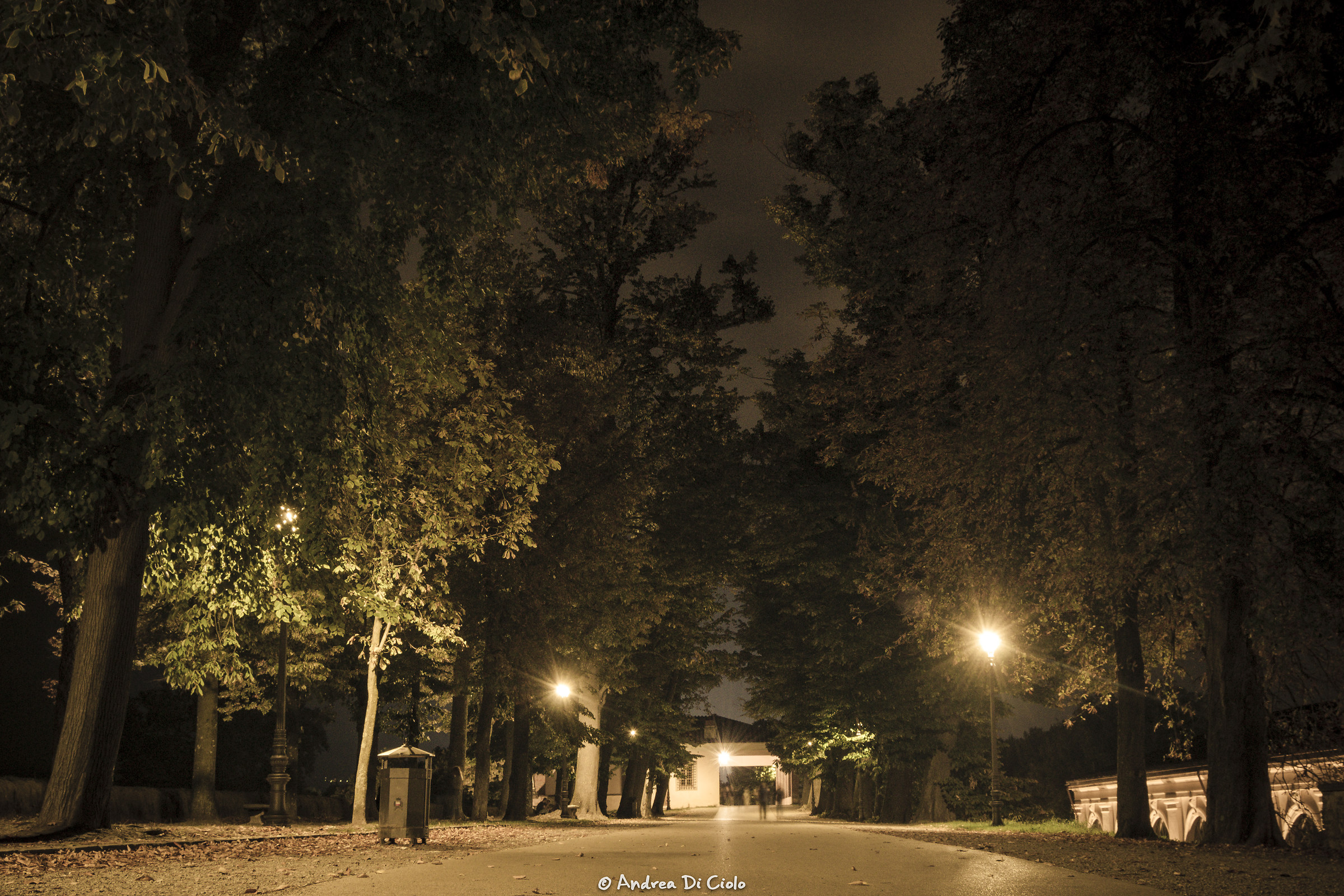 Mura di Lucca di notte