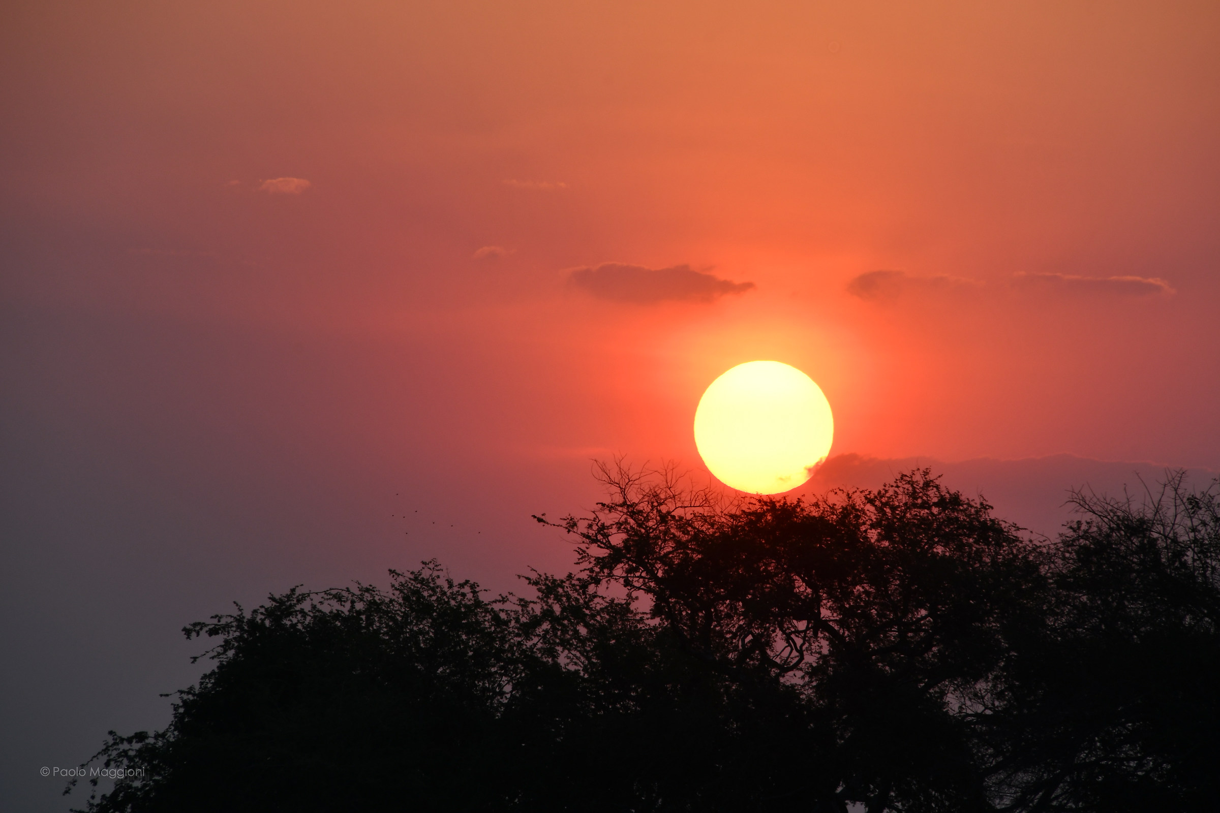 African Sunset