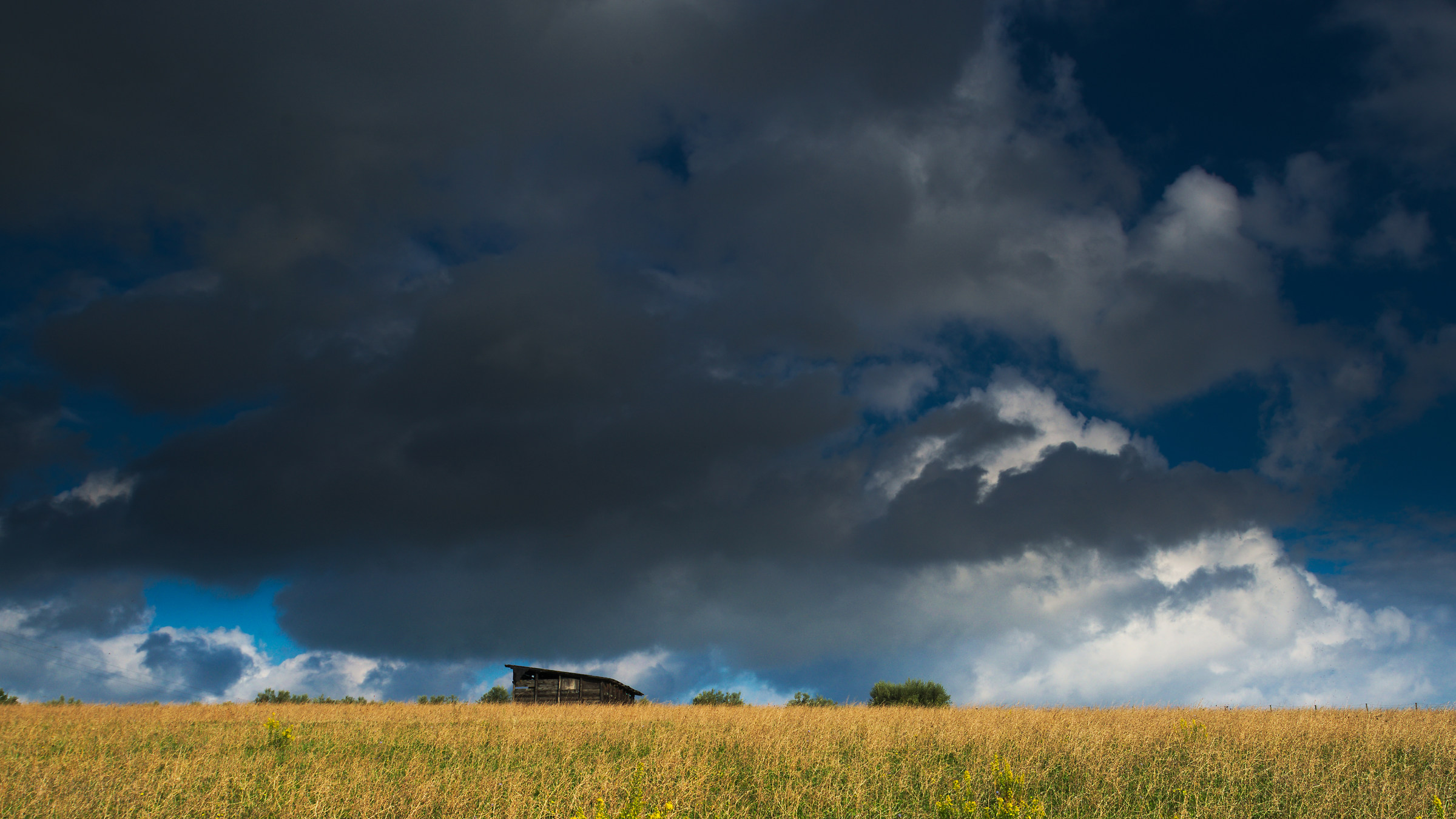 Waiting for the Rain