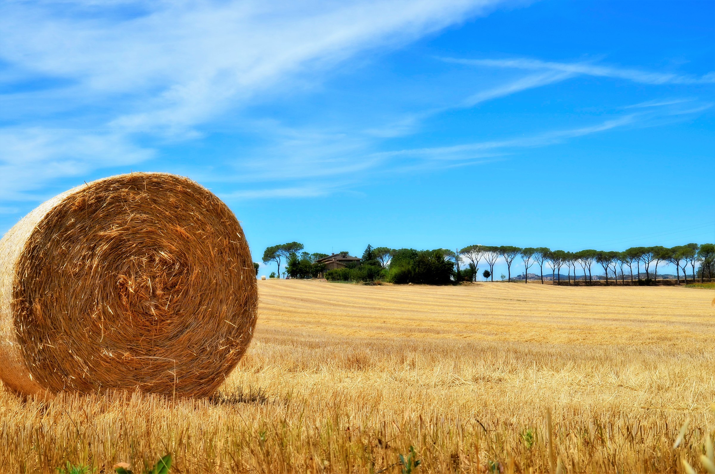 Campagna Umbra in giugno