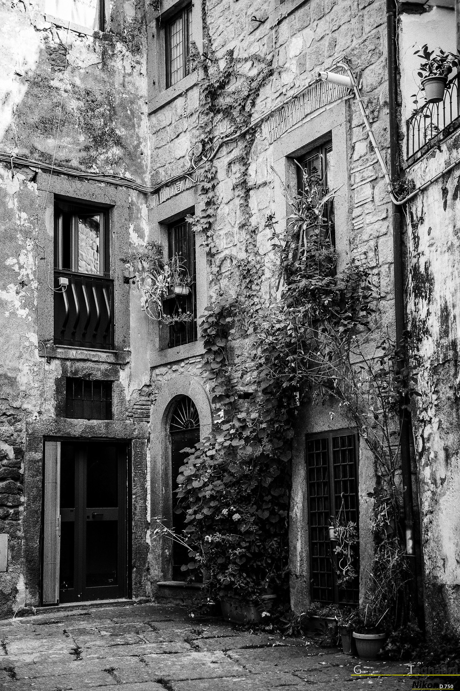 Viterbo-San Pellegrino District