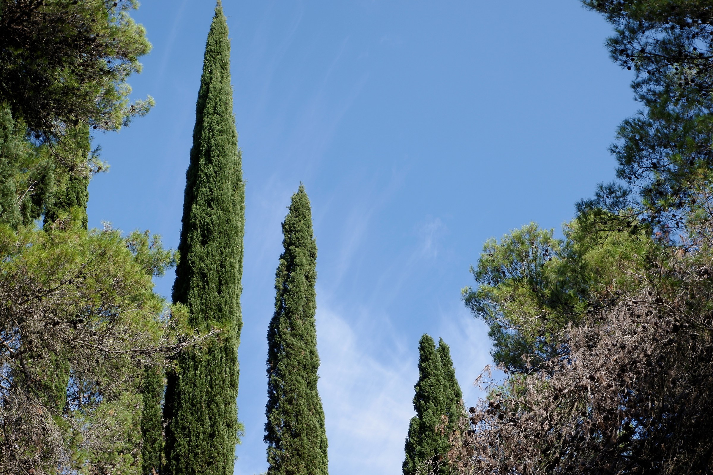 Nature gets framed (2)