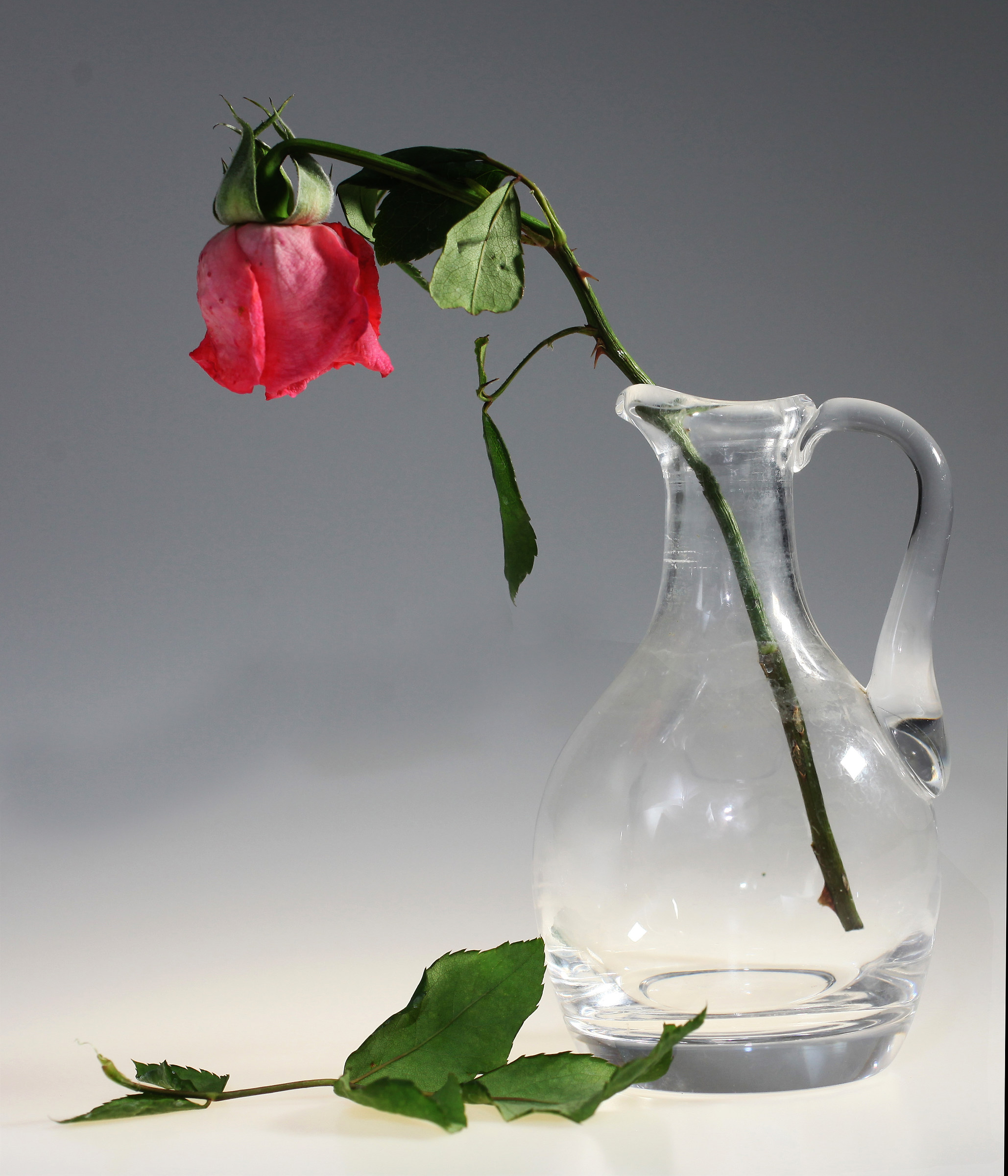 Prove tavolo still life