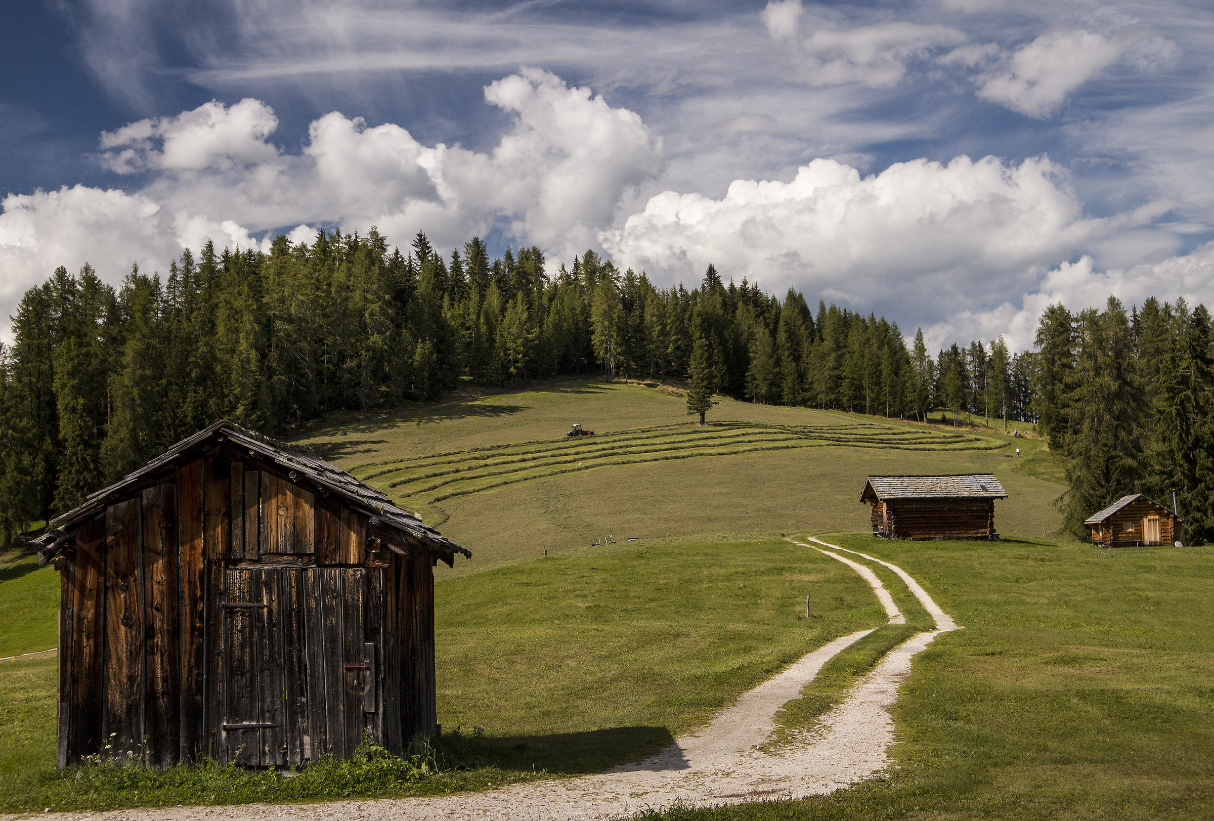 Armentara Alpine pastures and hay