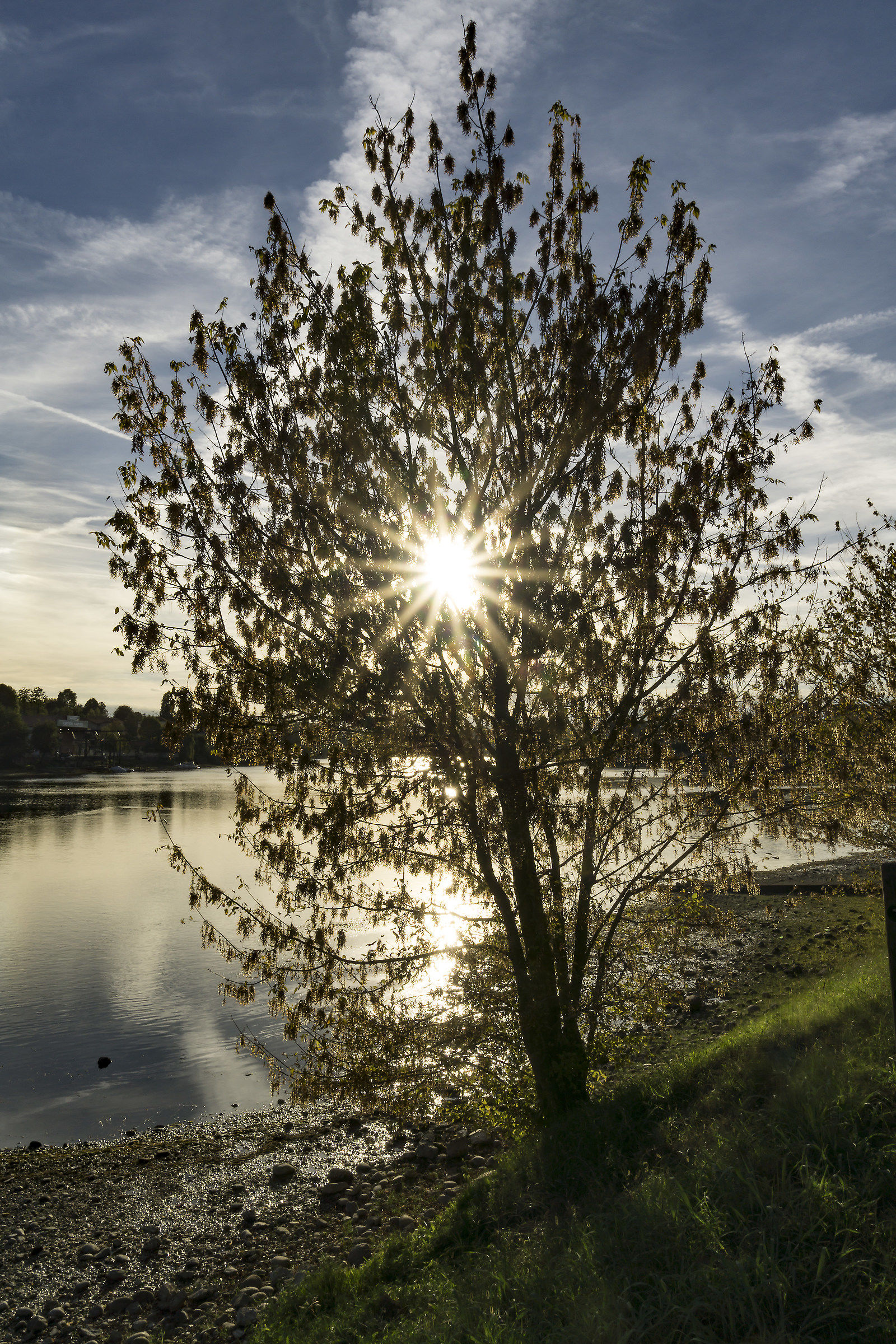 Tardo pomeriggio di inizio autunno - 10