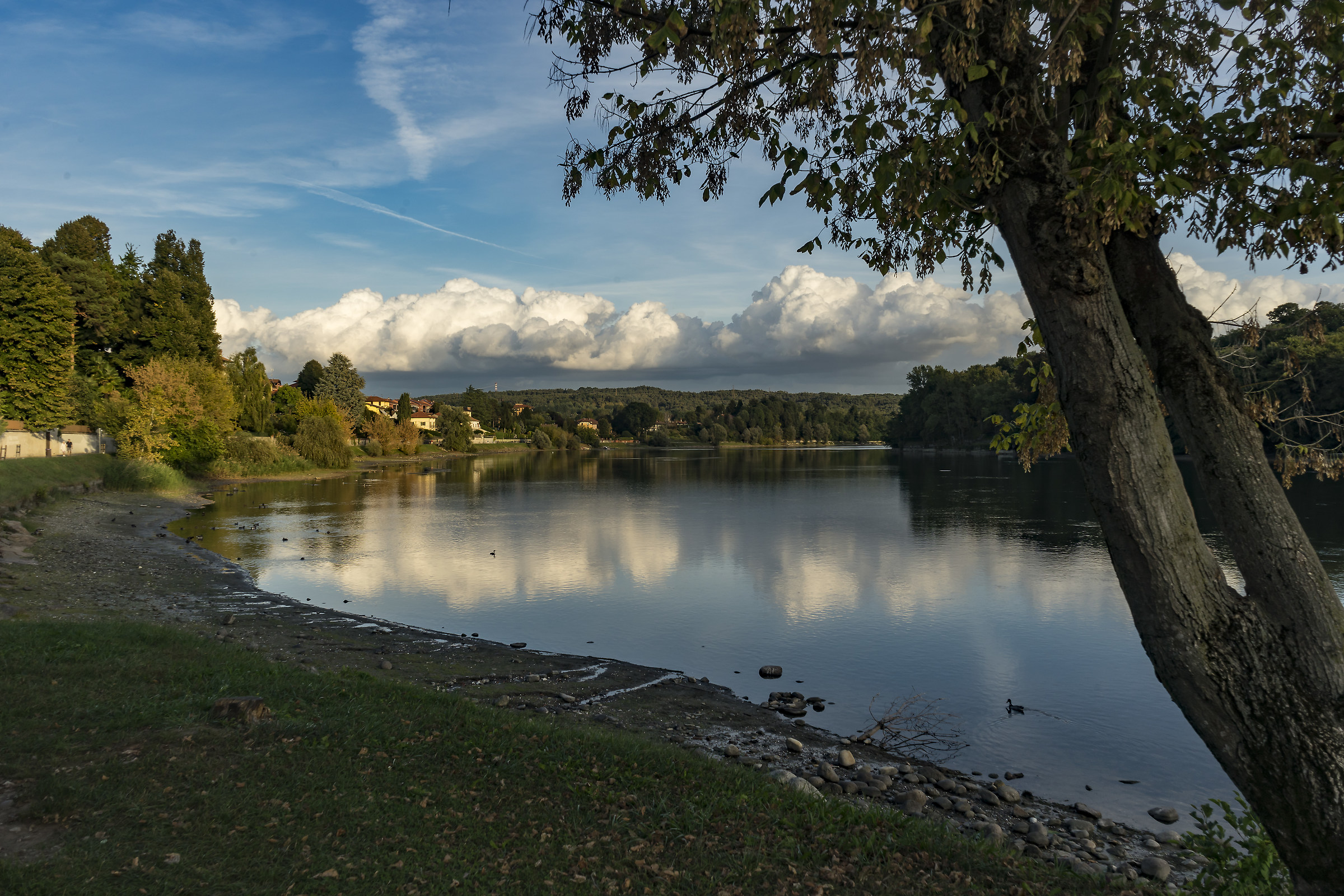 Late afternoon early fall-11