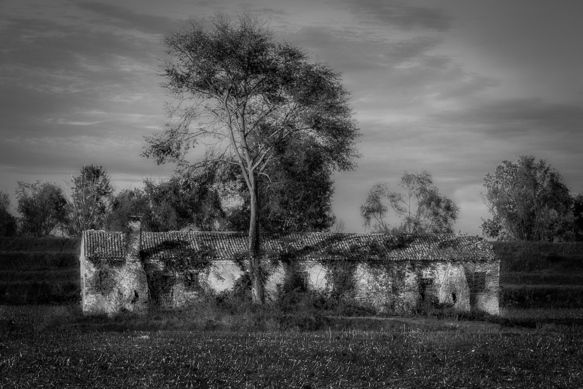 Abandonment in Biancoenero