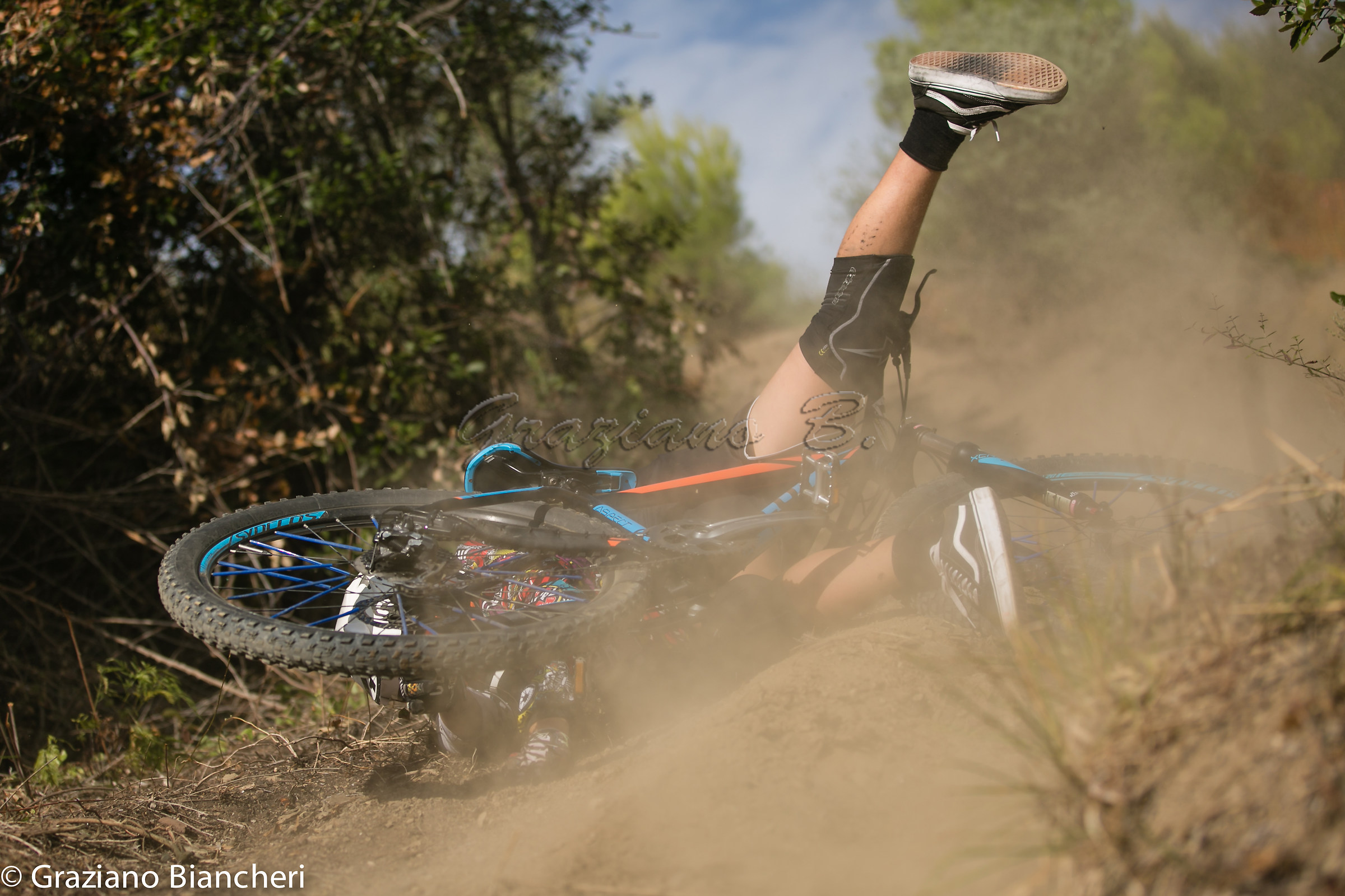 Olivetta Downtown 2018