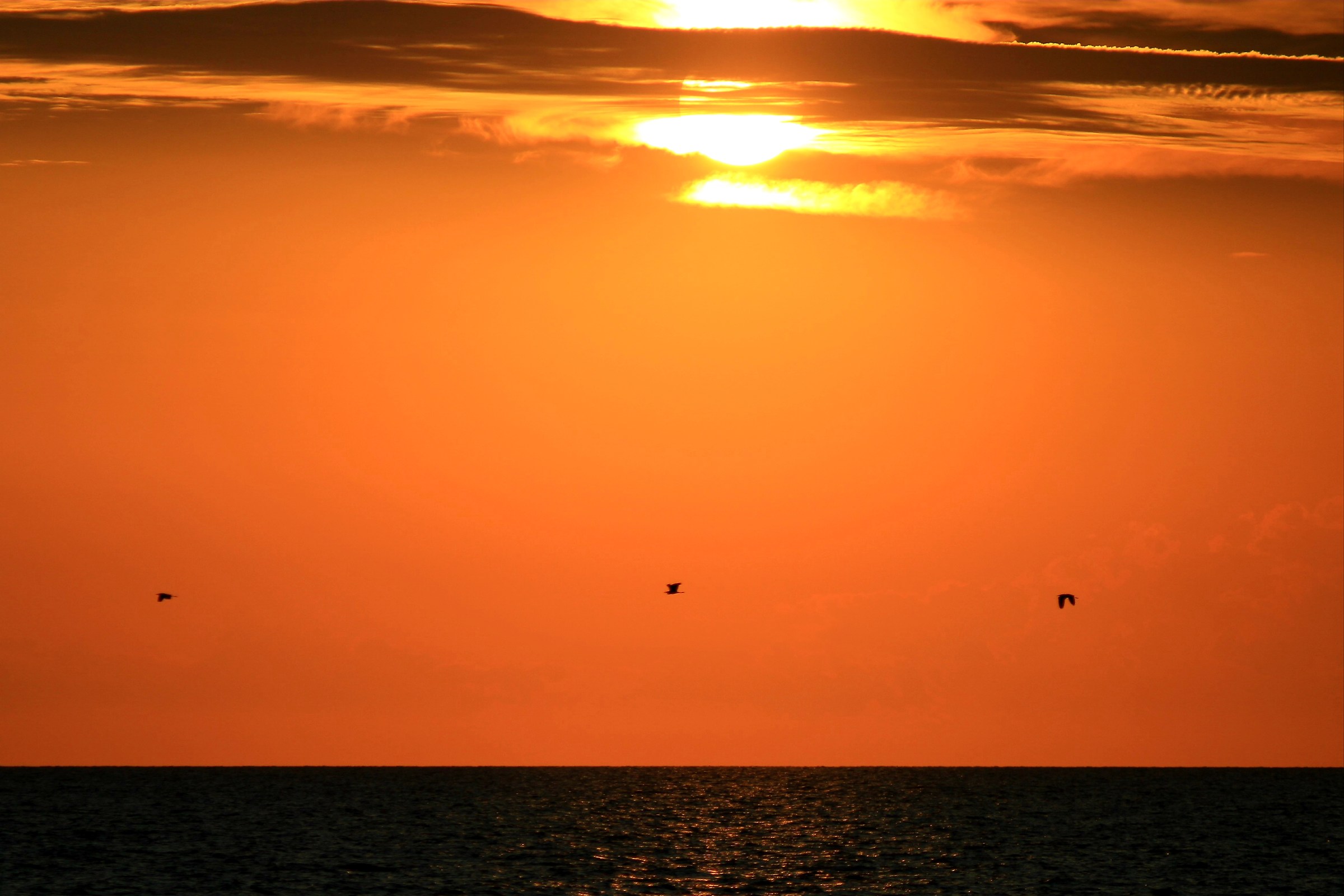 The sunset of Salento