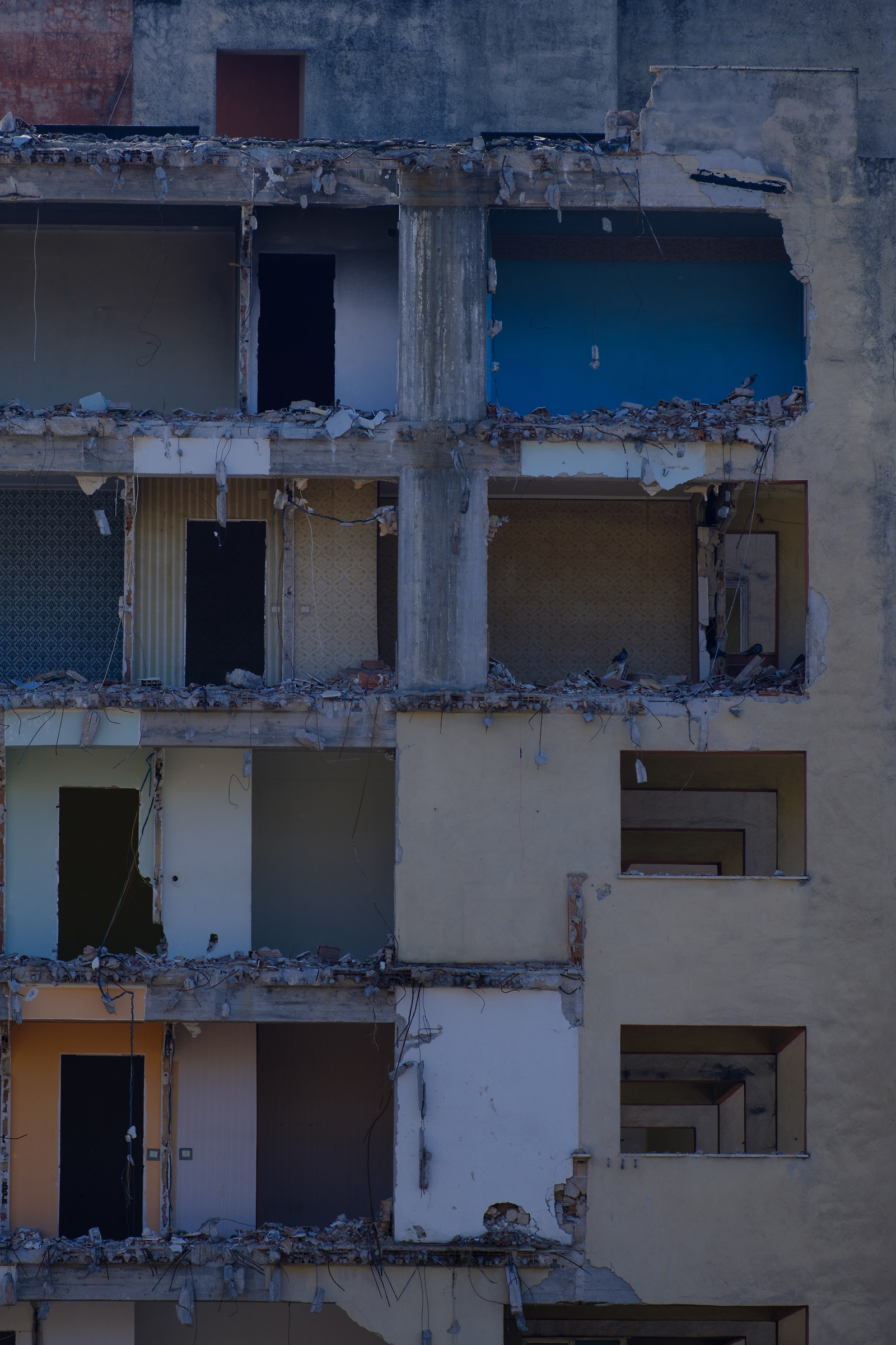 Last moments of life