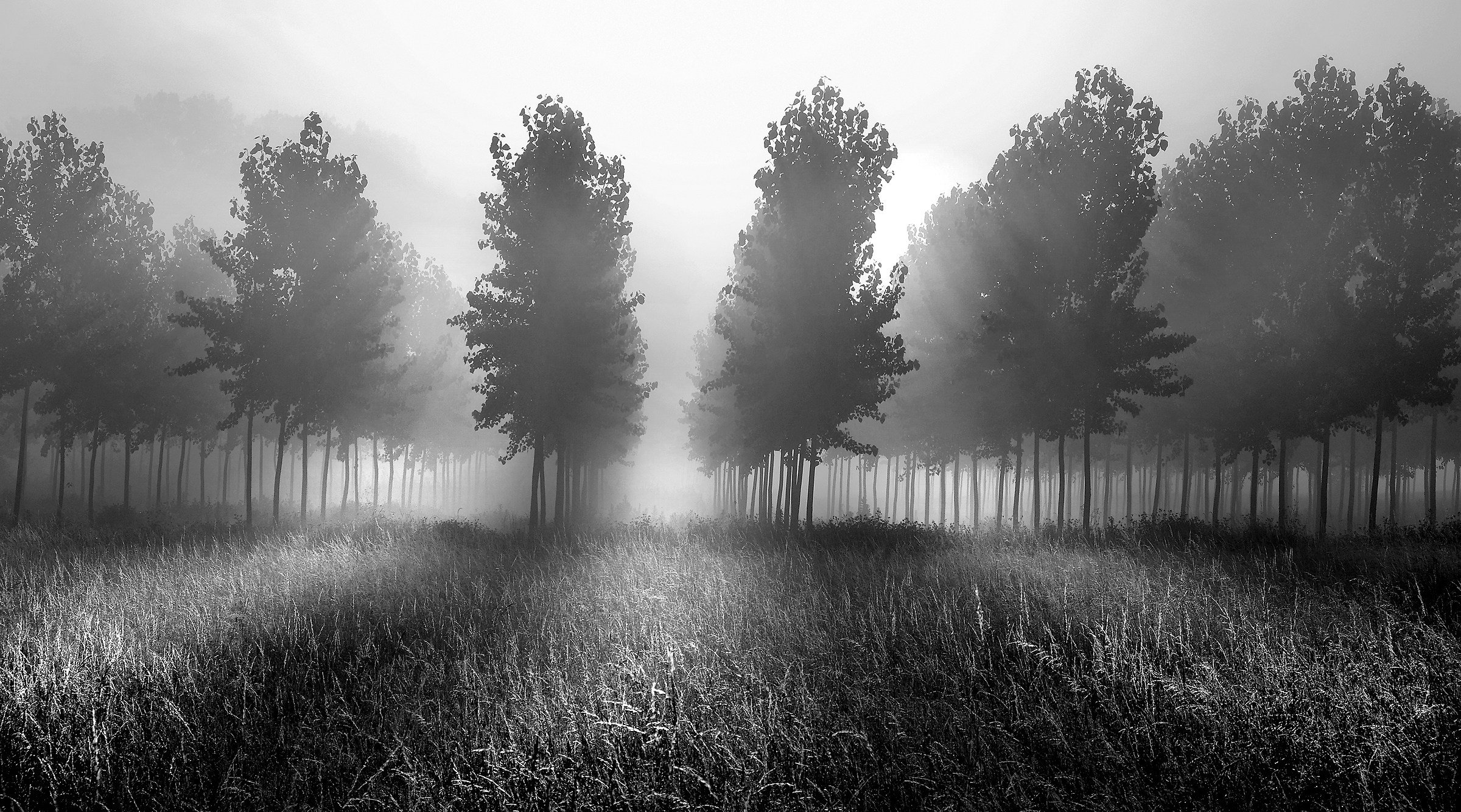 September Impressions