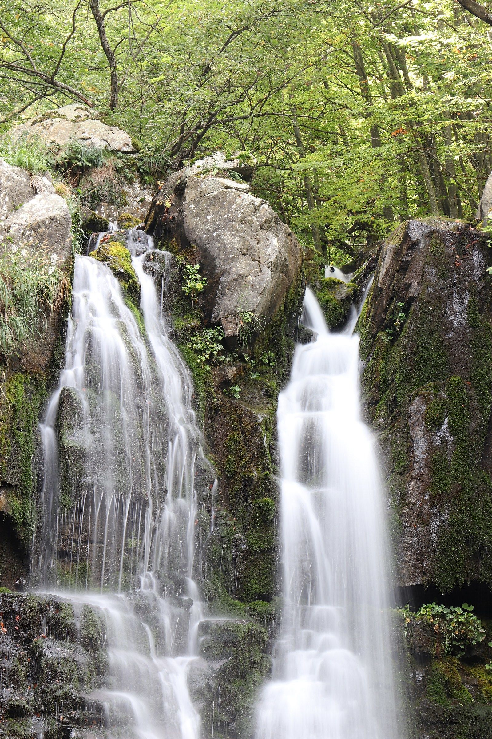 Cascate del Dardagna