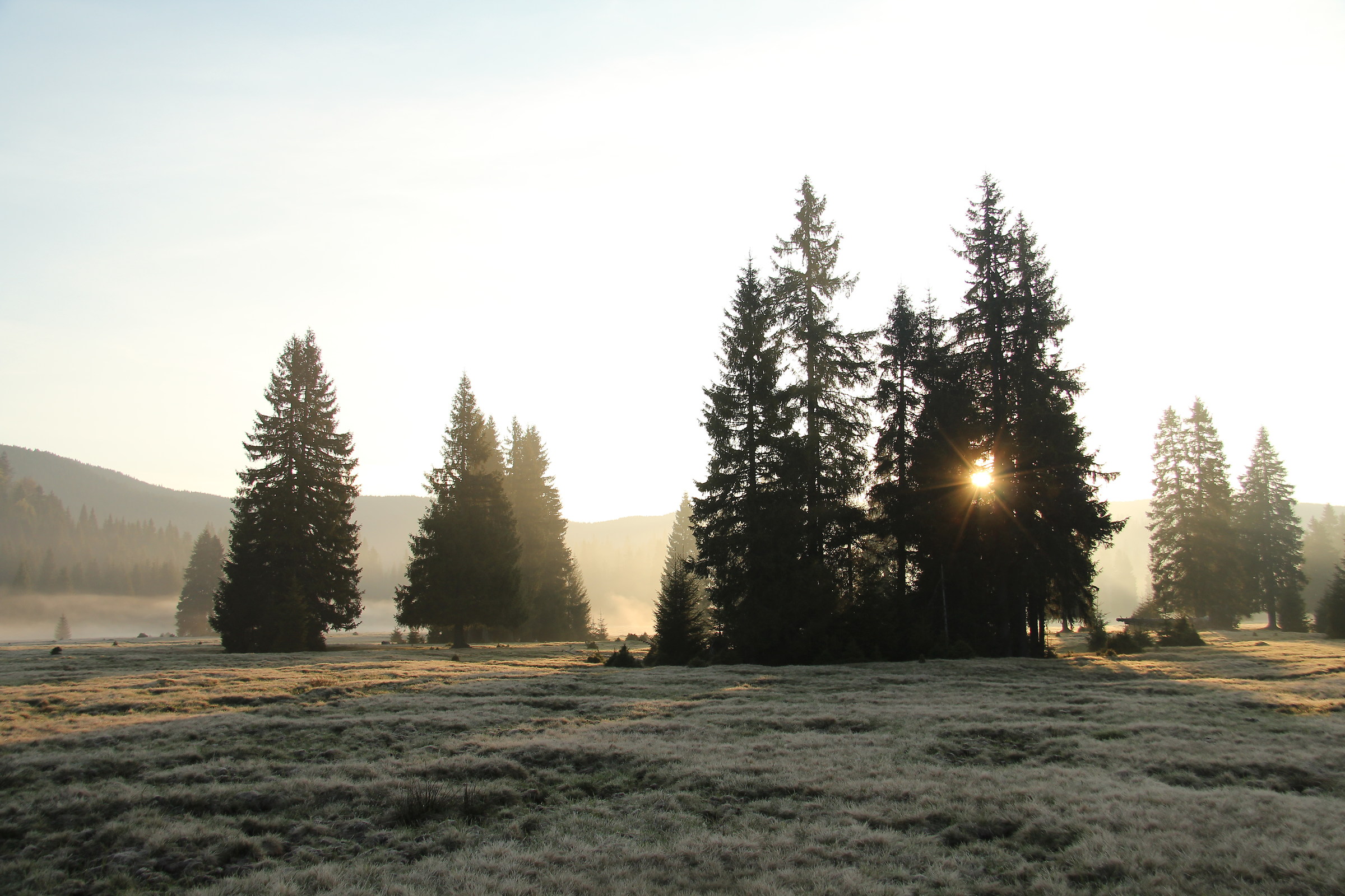 Untitled Photo