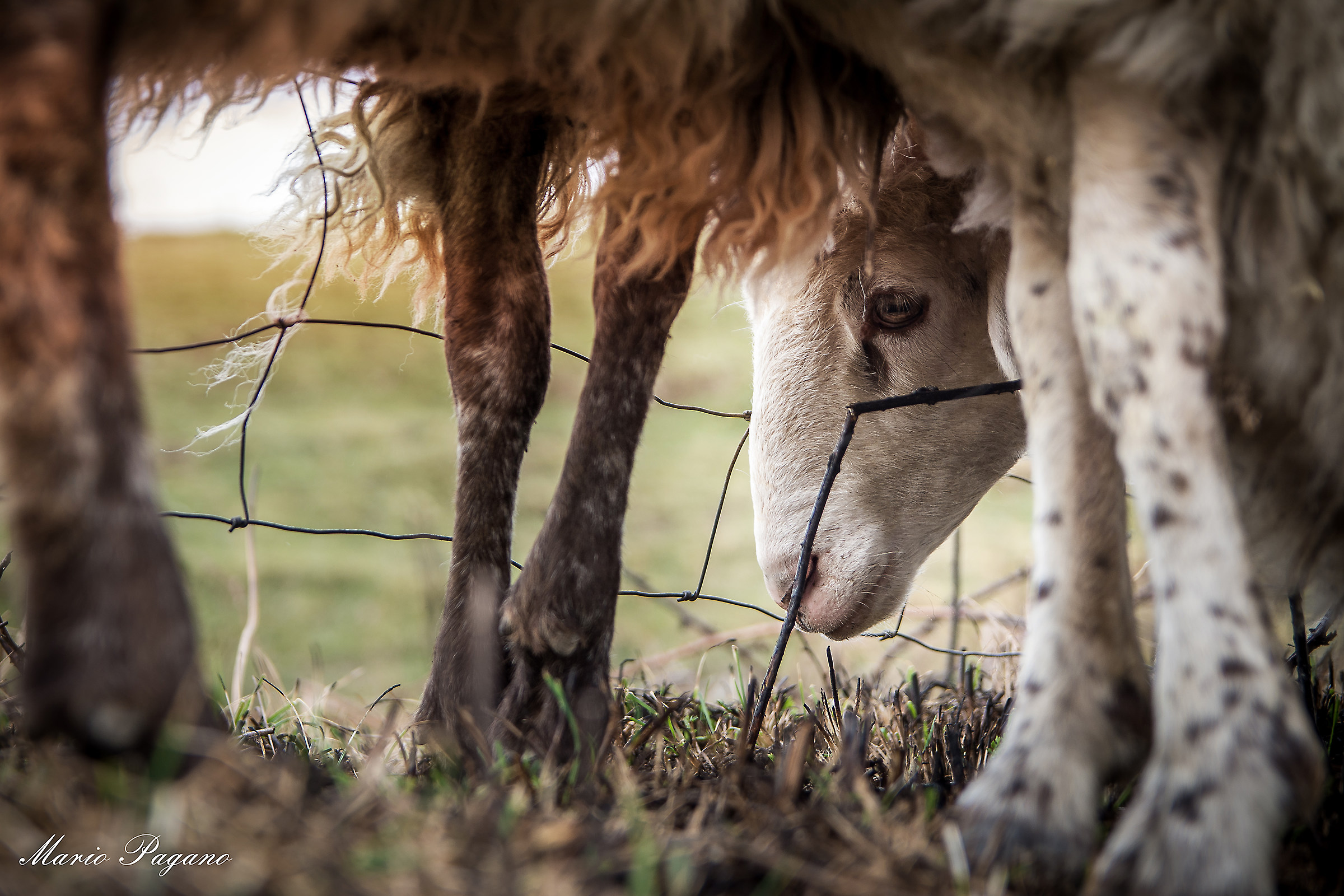 Looking for protection