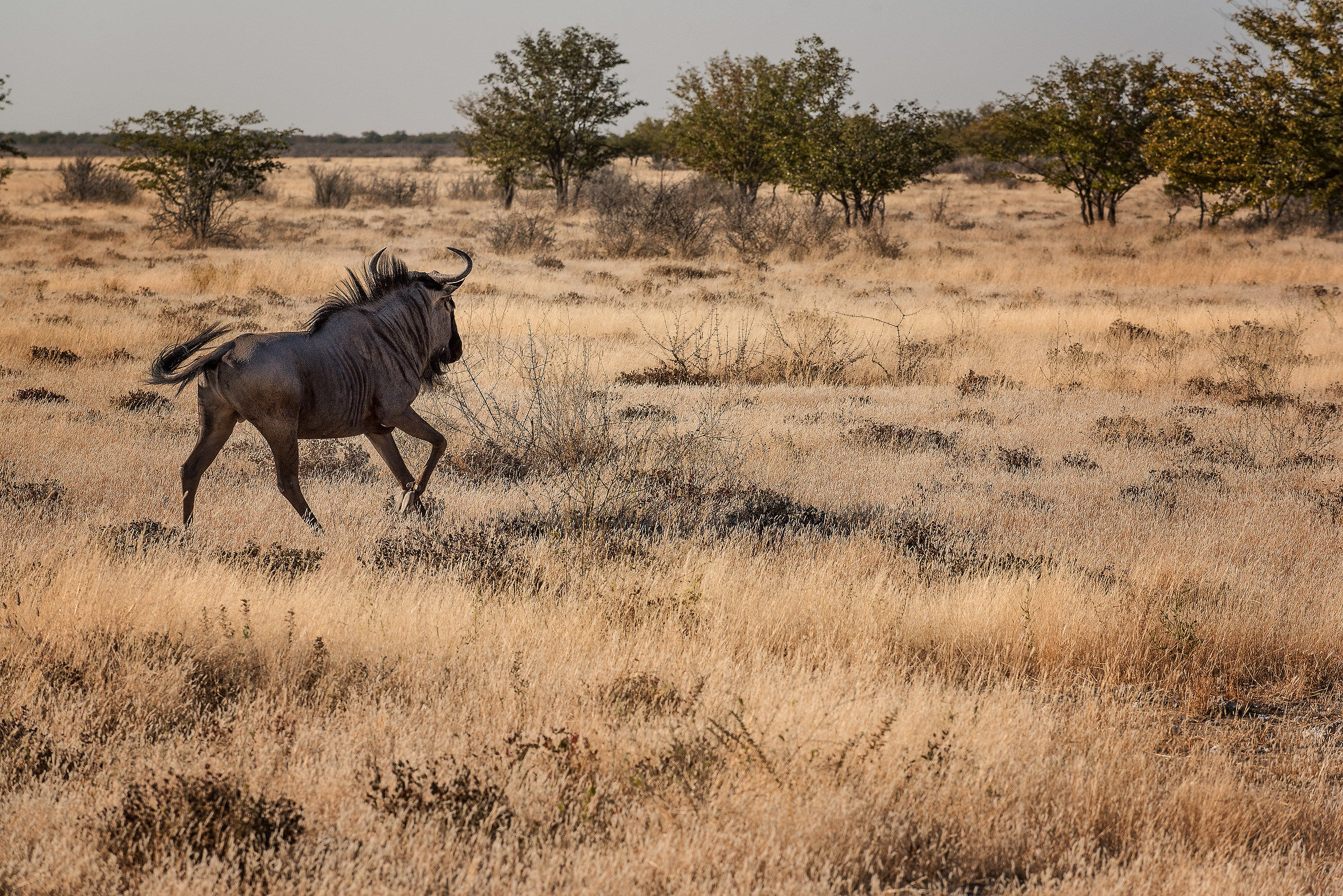 Incontri ravvicinati