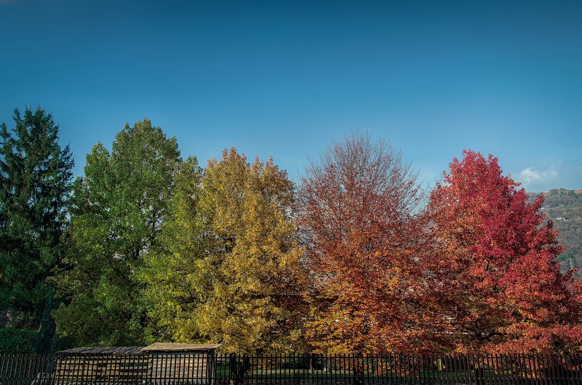 Autunno stagione di transizione