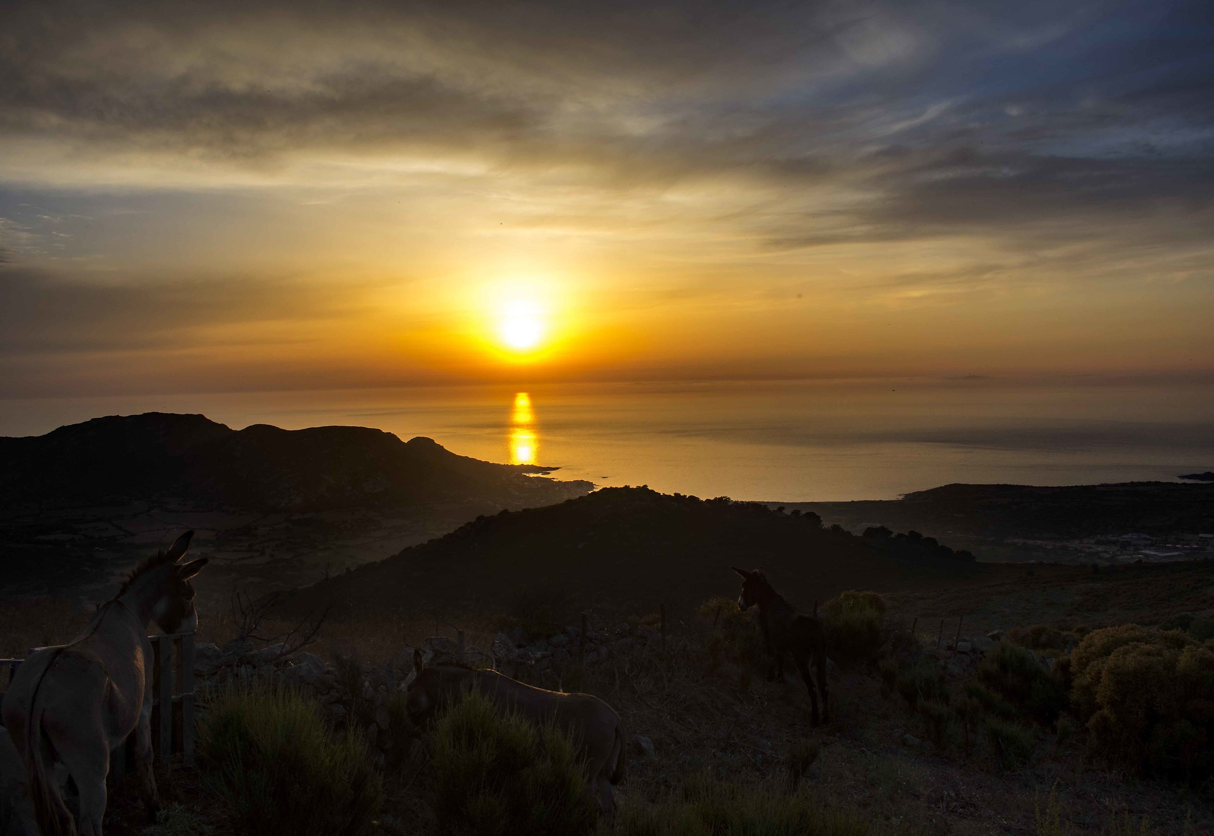 An instant entered the heart