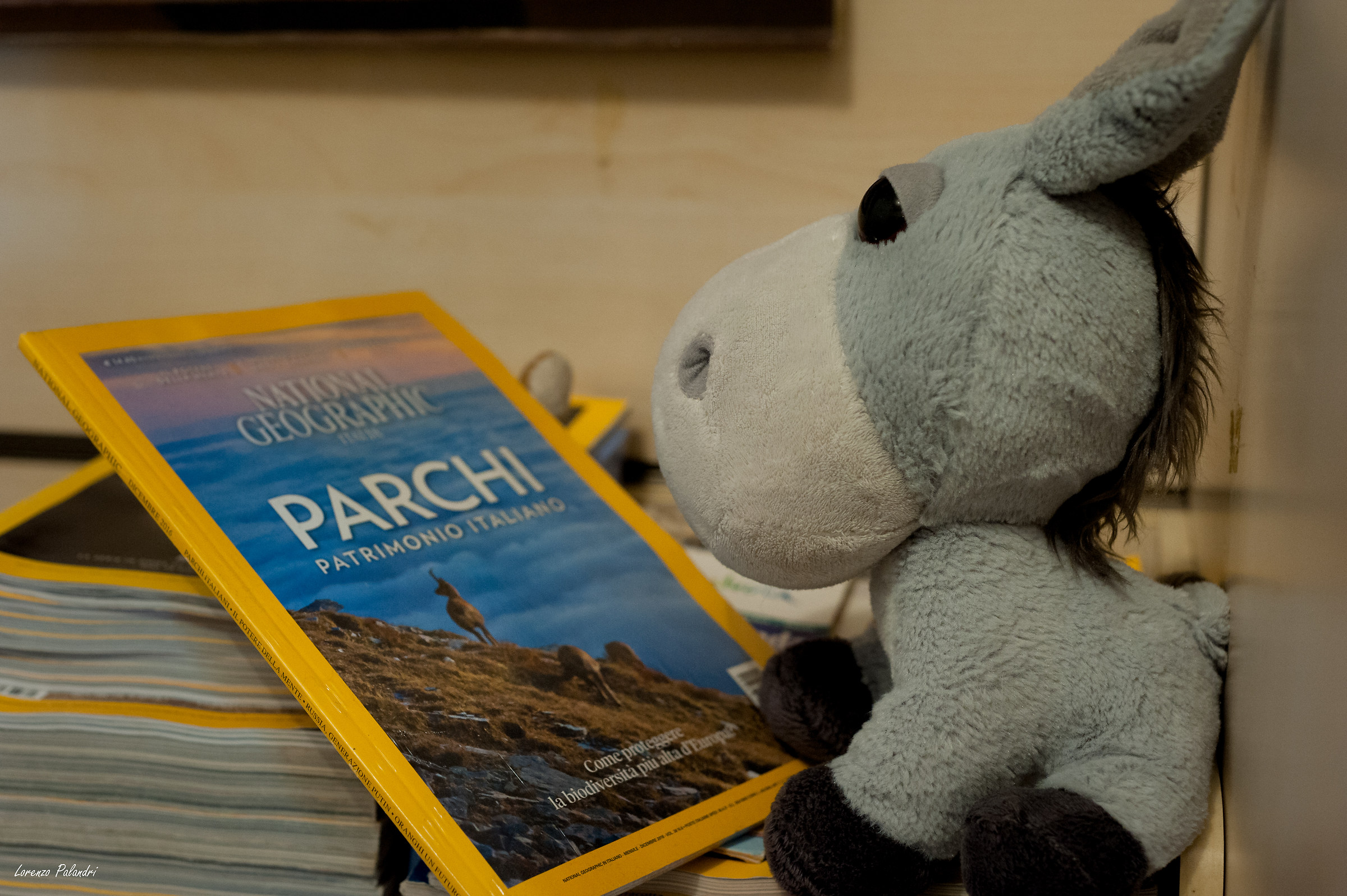 Dreams are for everyone