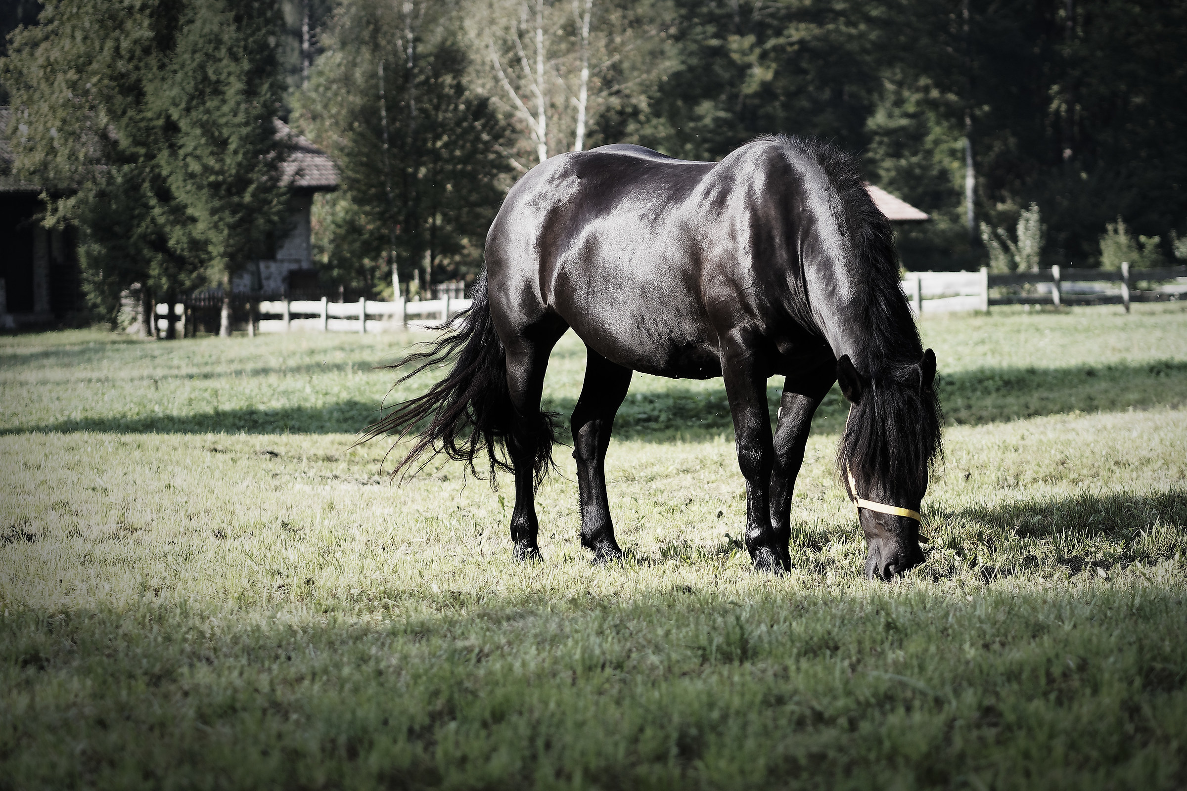 Incontri mattutini vicino casa