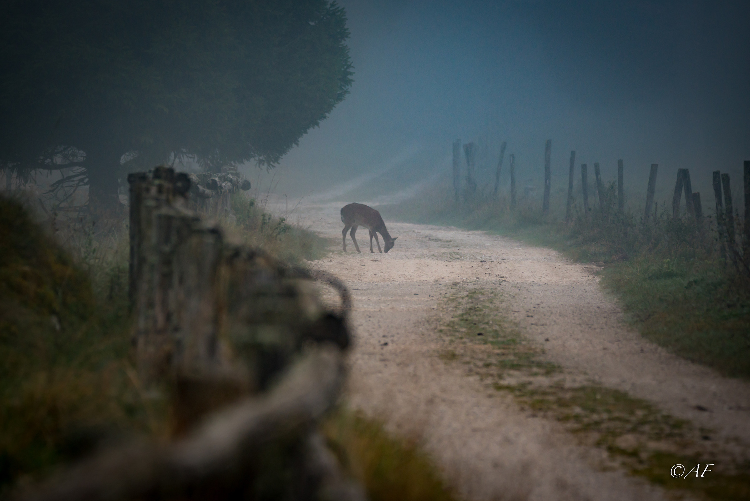 piacevoli incontri...