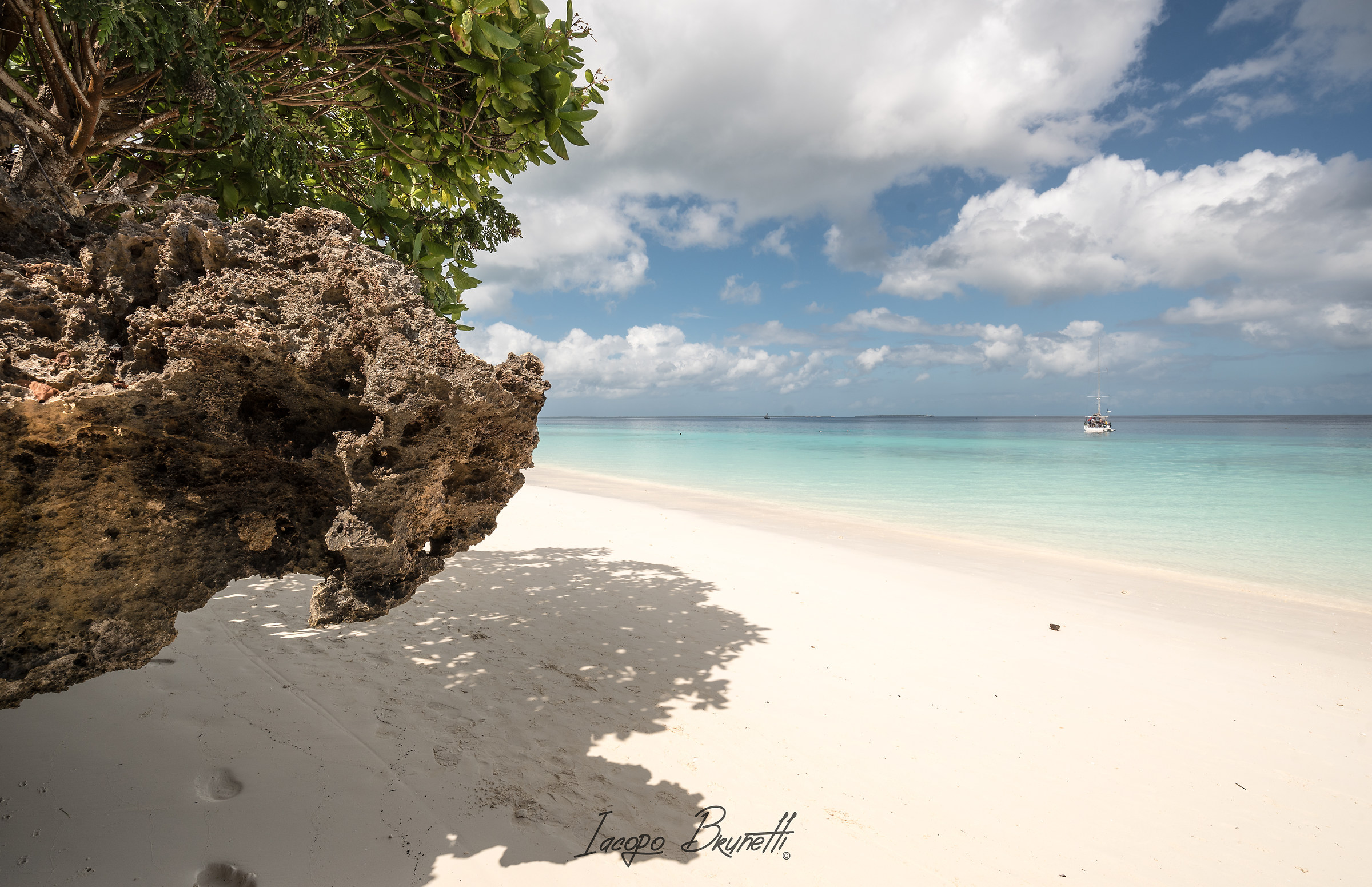 Colors of Zanzibar in Kendwa