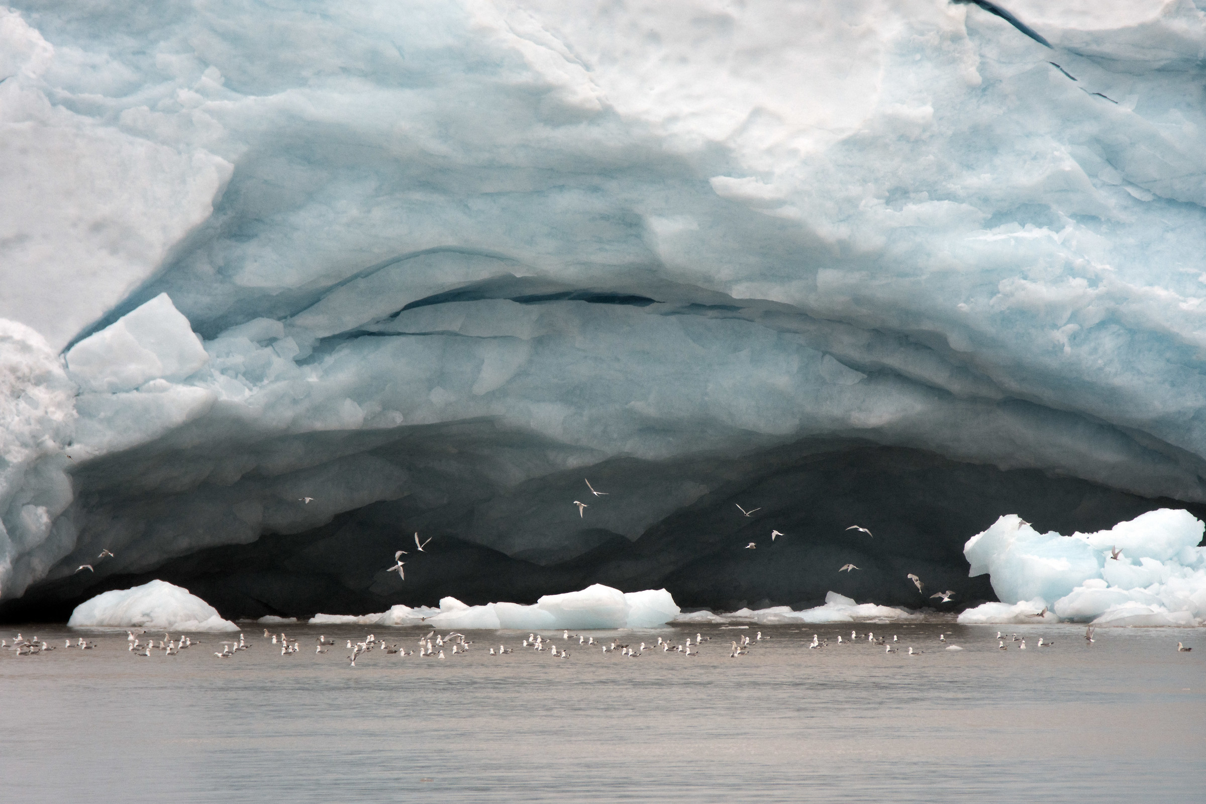 Il fronte del ghiacciaio