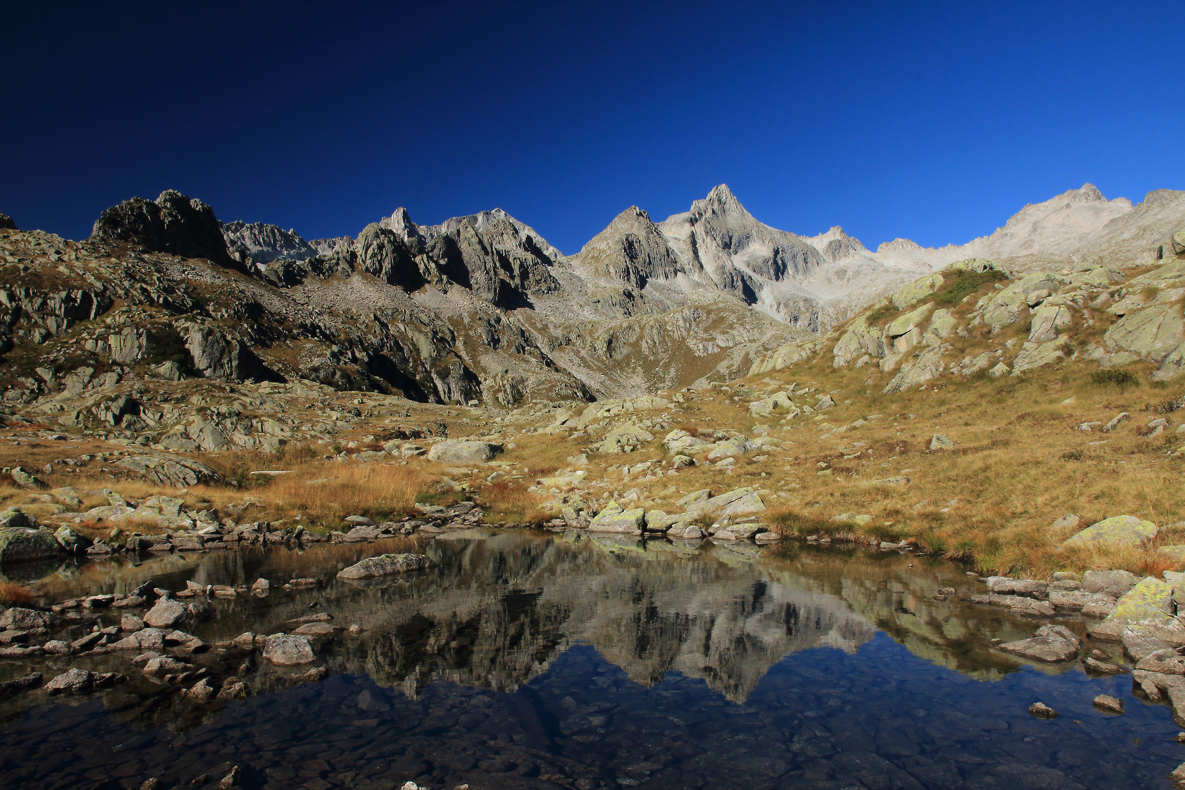 cima d'Amola - gruppo Presanella