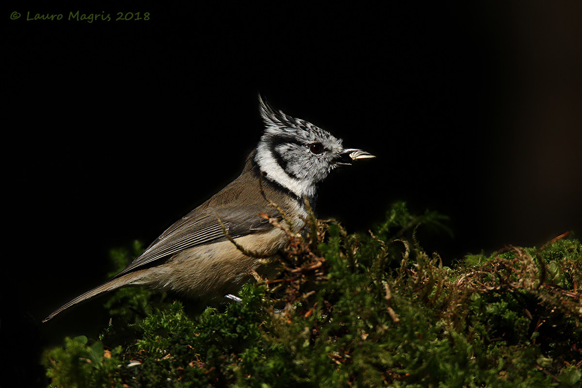 With the precious treasure