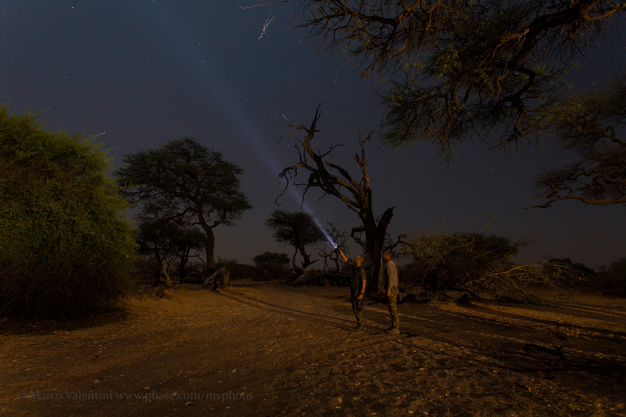 Under the sky of Khwai