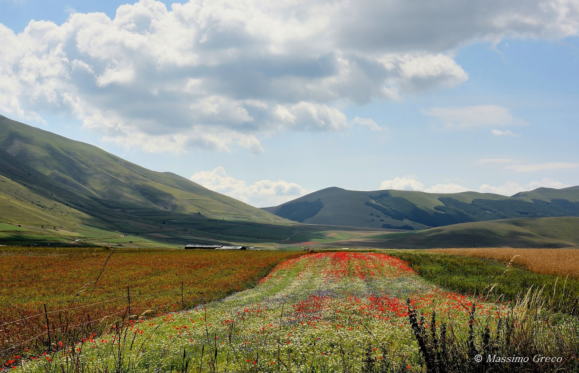 Castelluccio di Norcia
