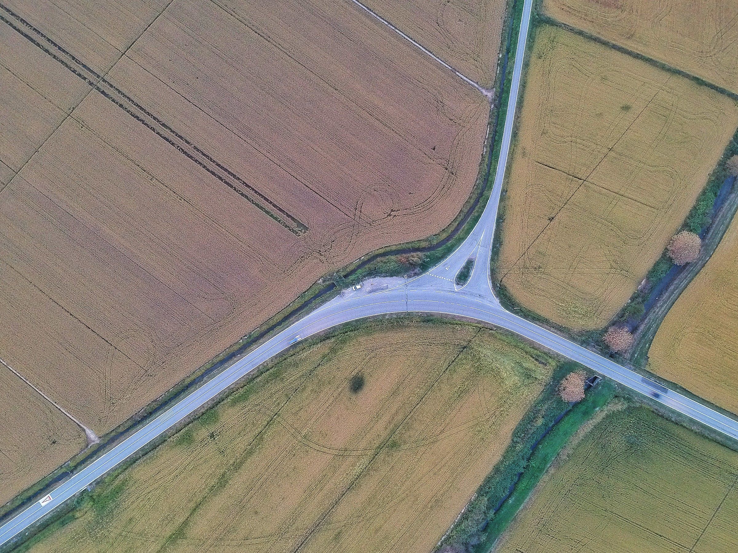 Among the Ghibellines rice fields