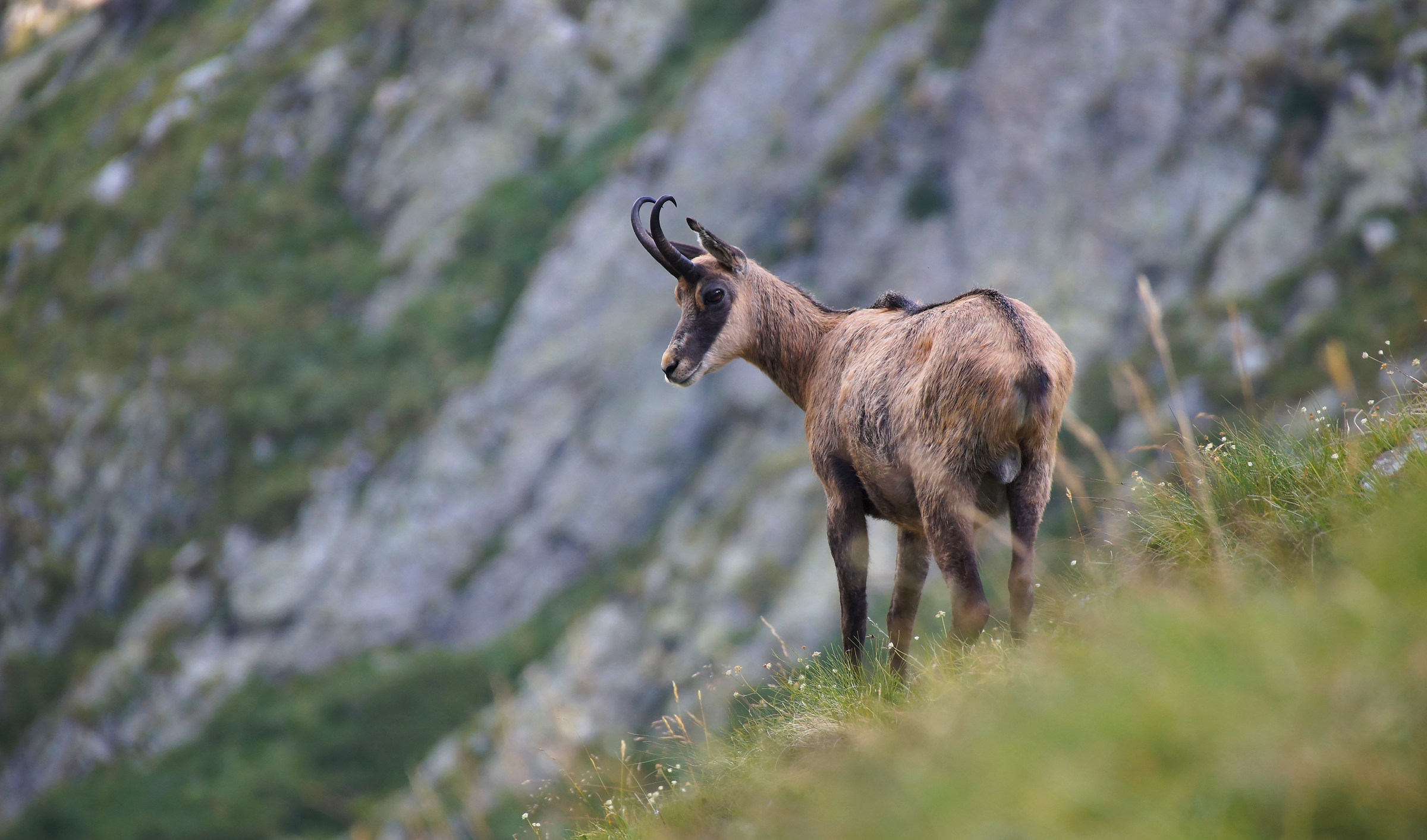 Incontri ravvicinati