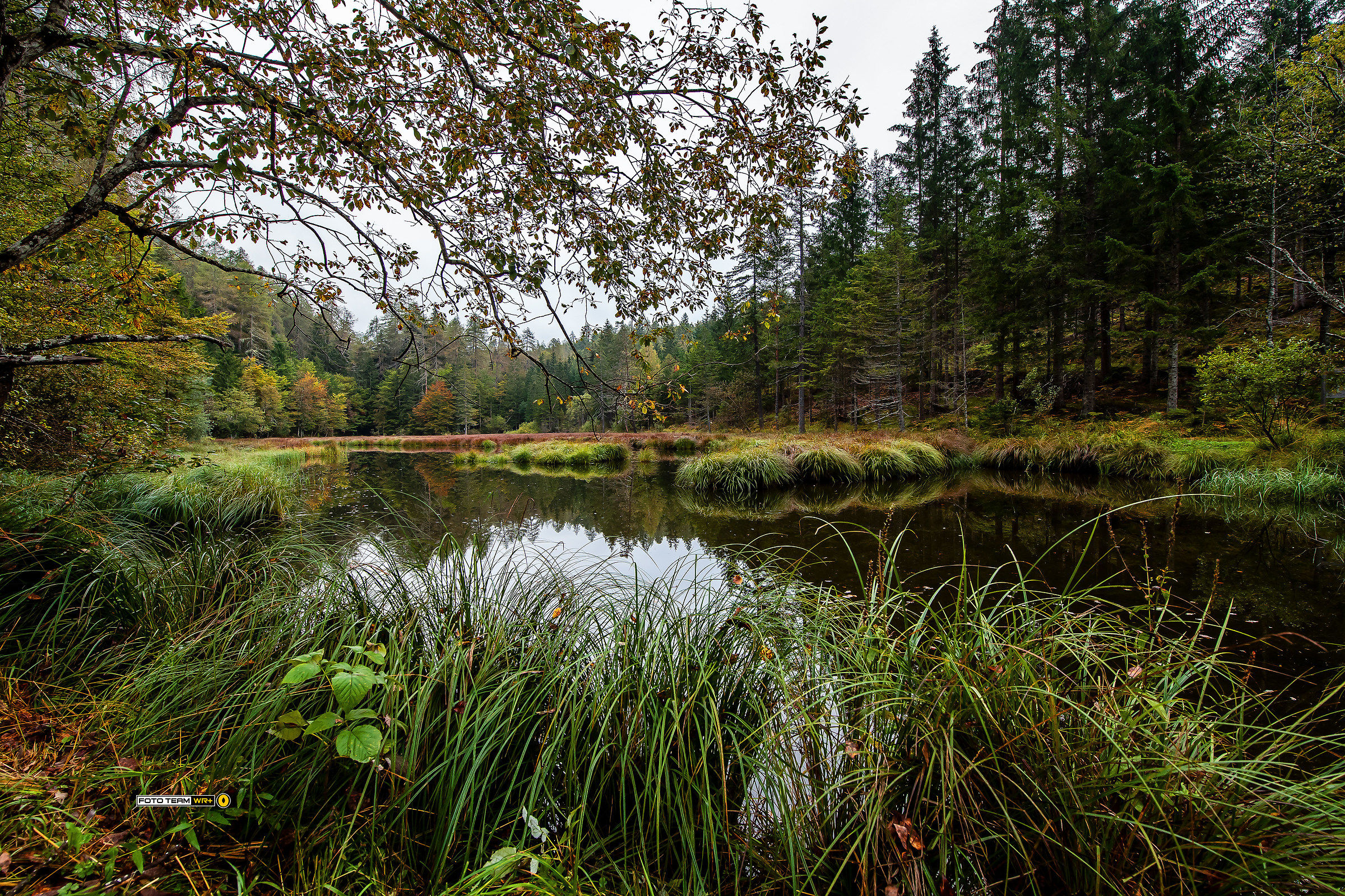 "Alter See" - Lienz (Austria)