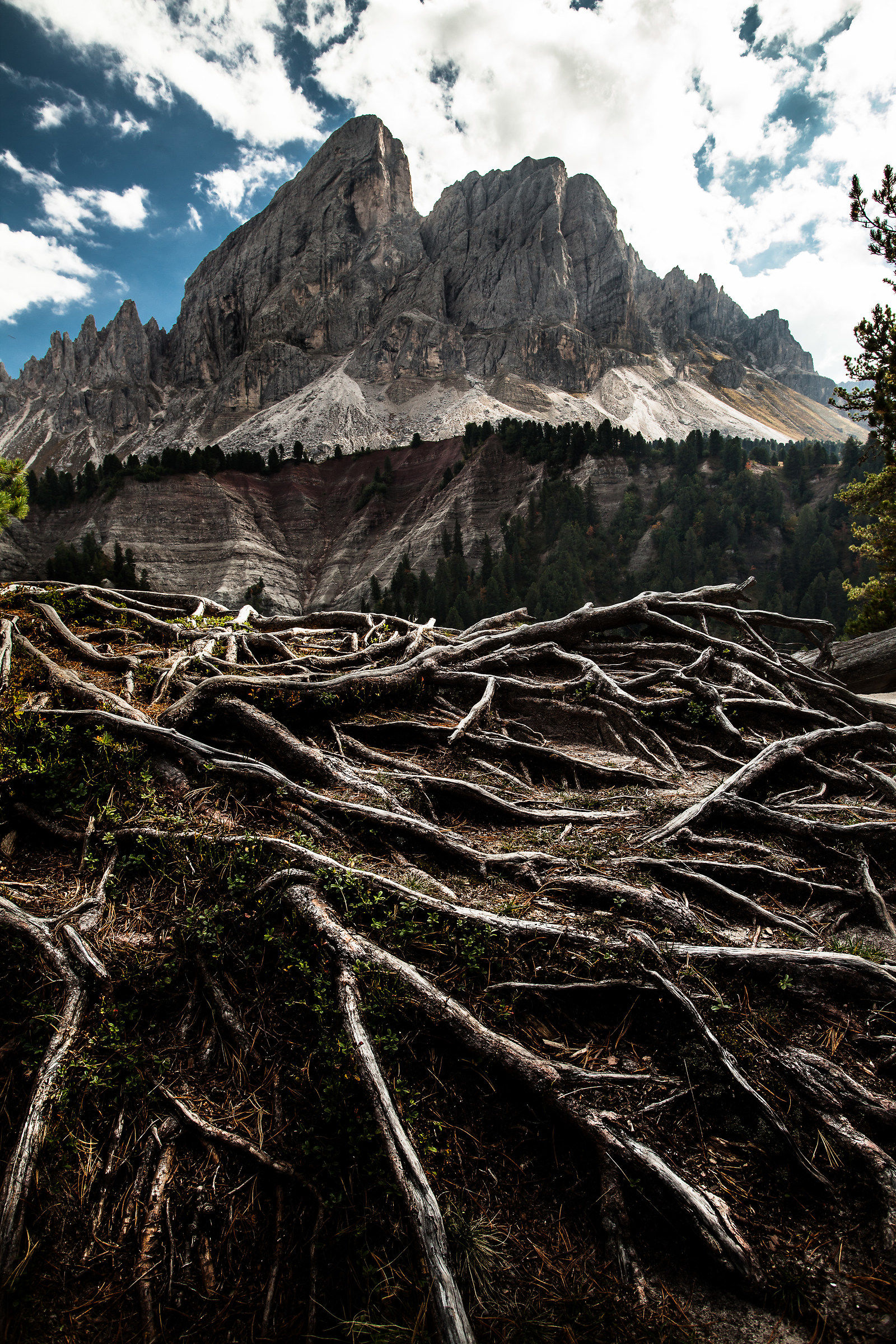 Alle radici del monte Putia