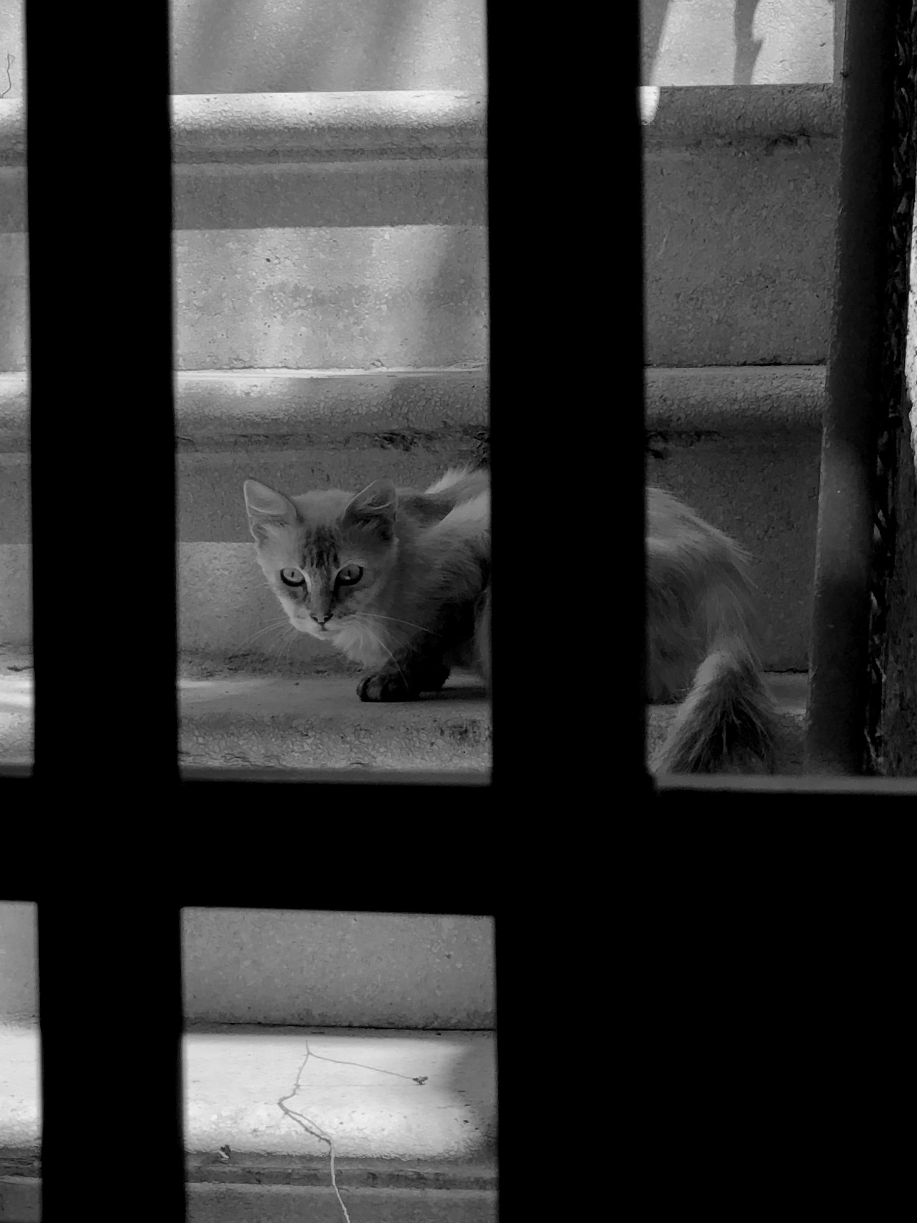 Per le strade di Mazara del Vallo